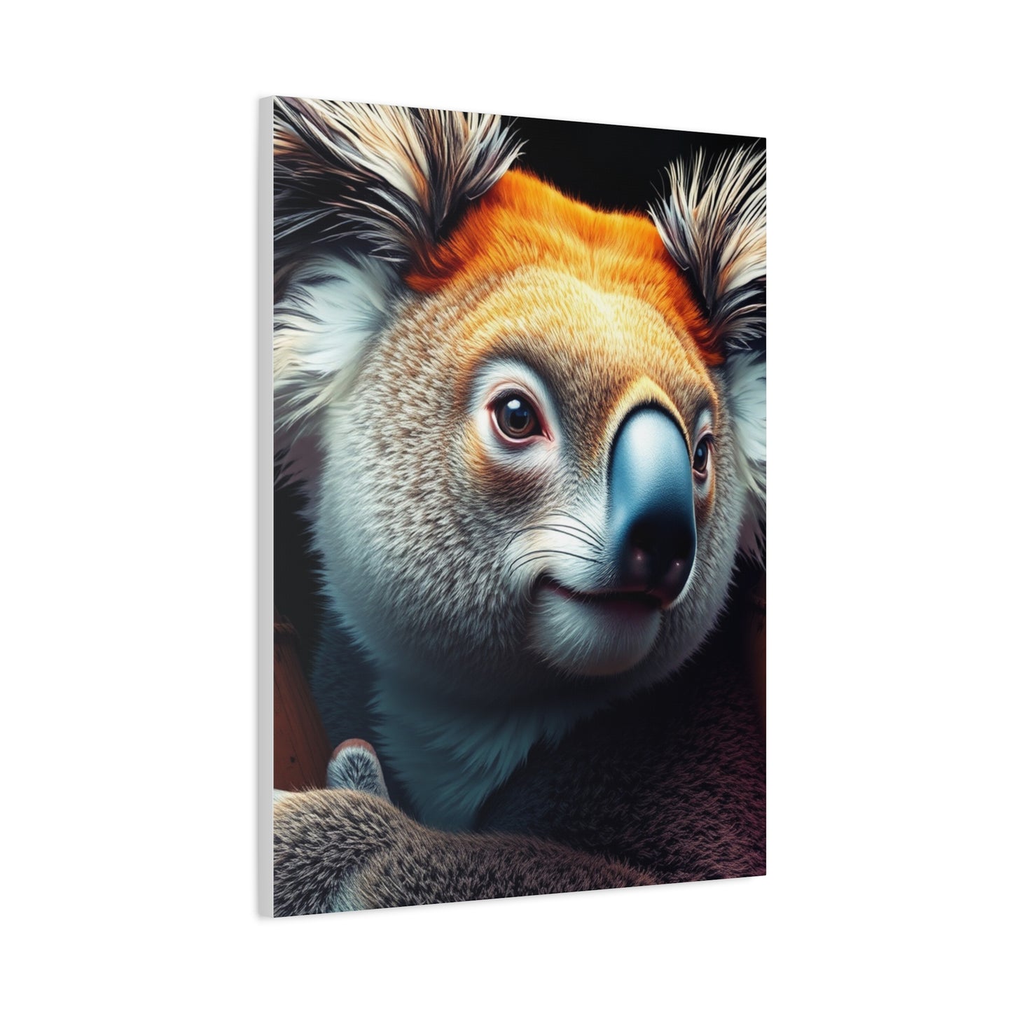 Elite Koala Art Vision Wall Art & Canvas Print