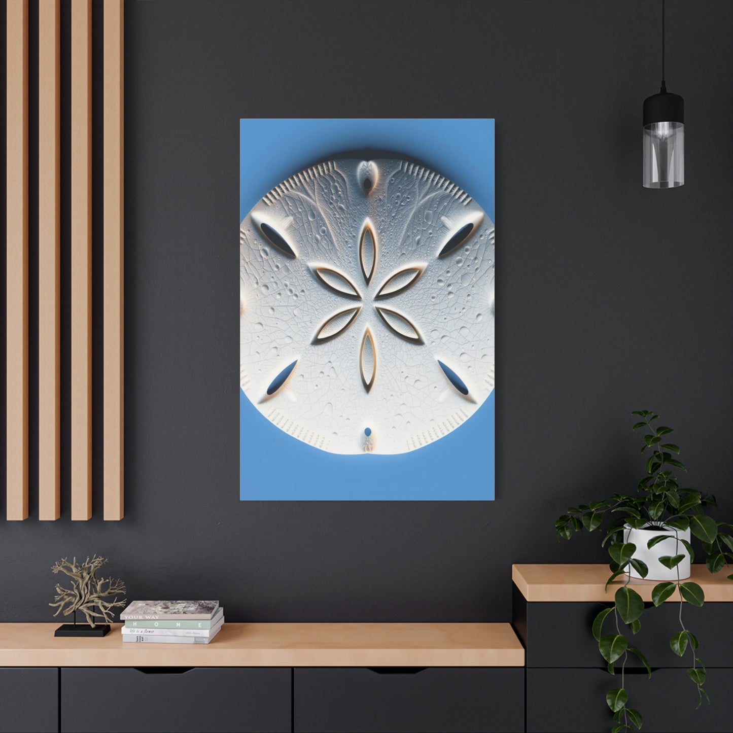 Sand Dollar Art Supreme Gallery Wall Art & Canvas Print