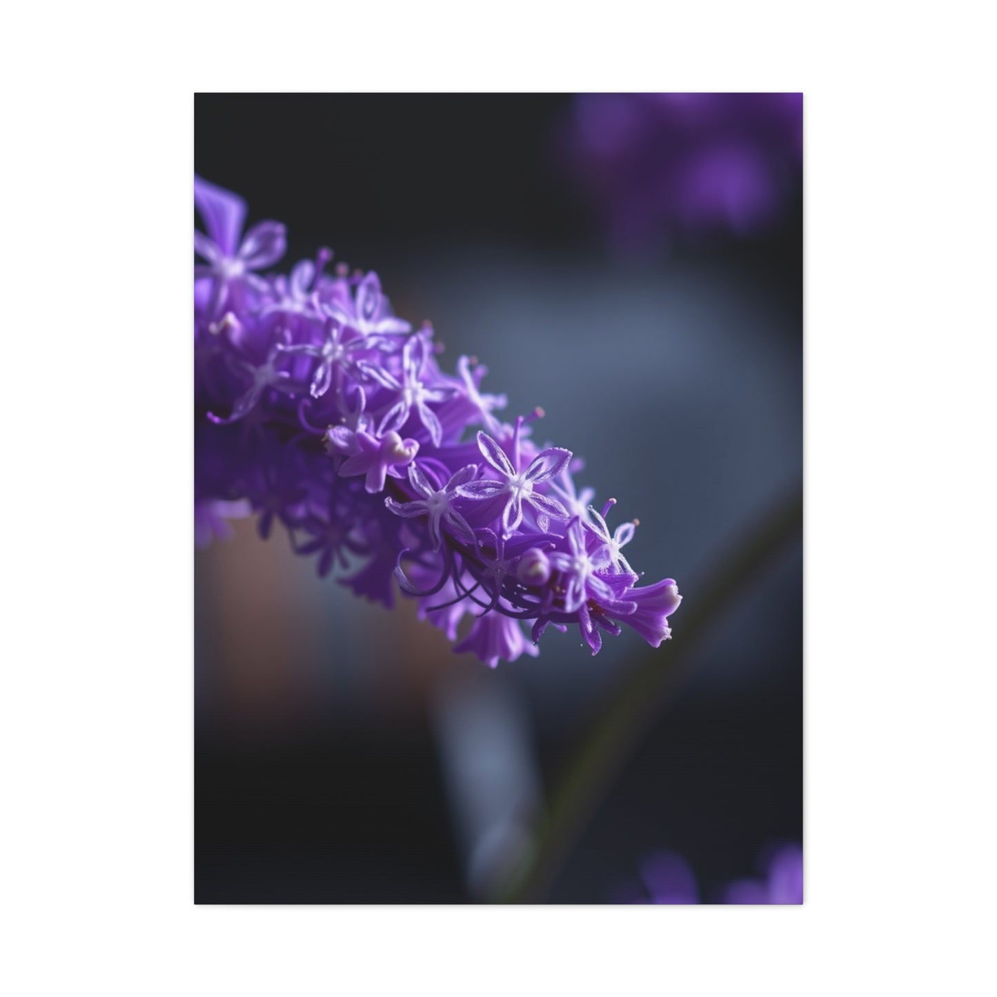 Divine Indigo Expression Wall Art & Canvas Print