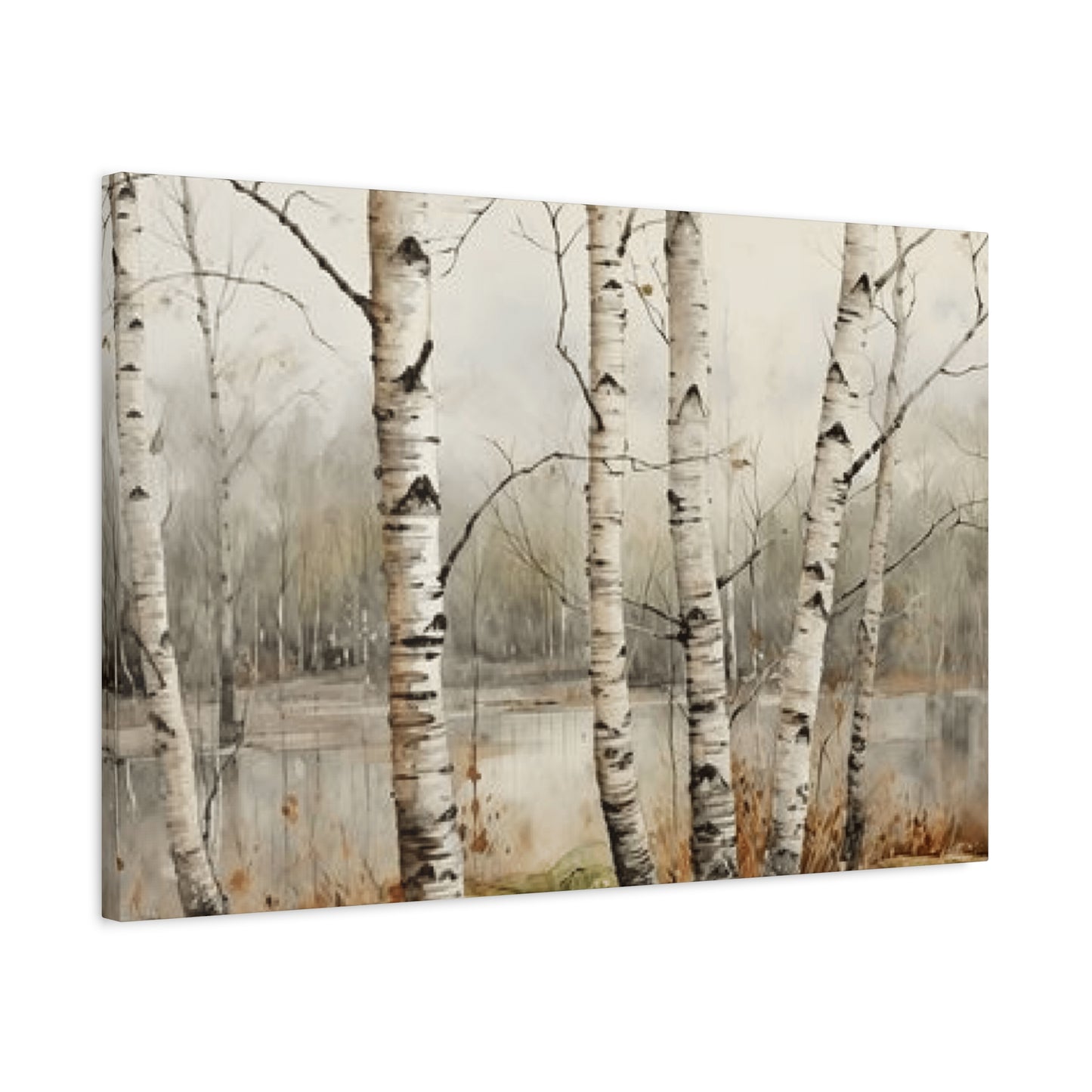 Birch Trees Beside Lake Wall Art & Canvas Prints