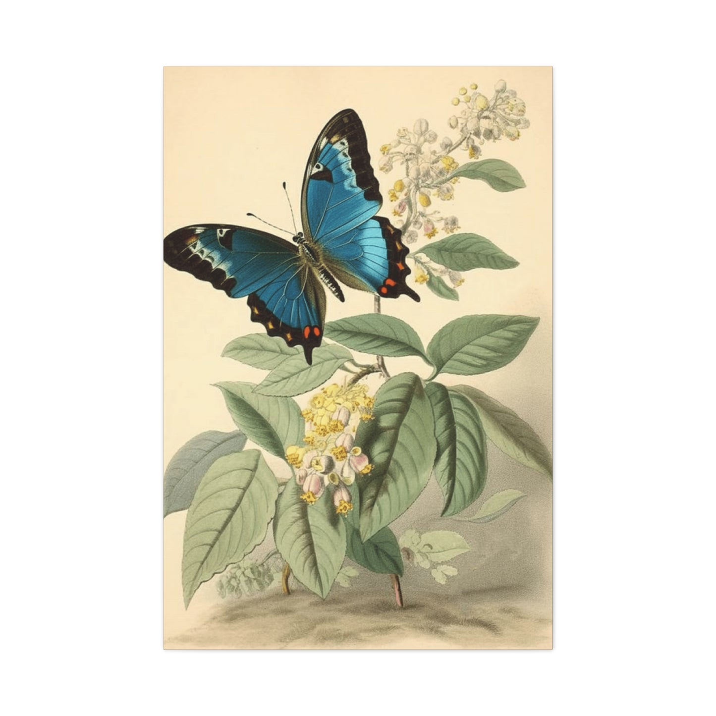 Butterfly on Brown Background Wall Art & Canvas Prints