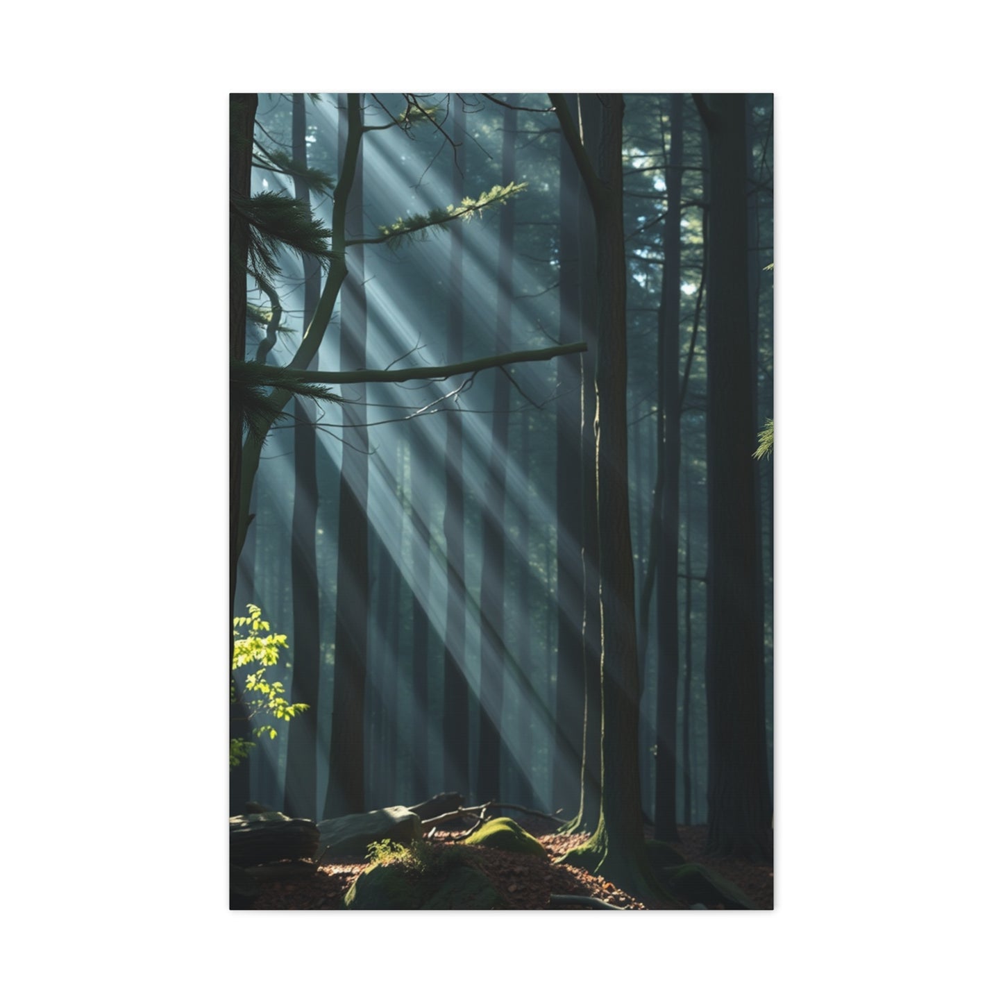 Woodland Serenity Canvas Wall Art & Canvas Print