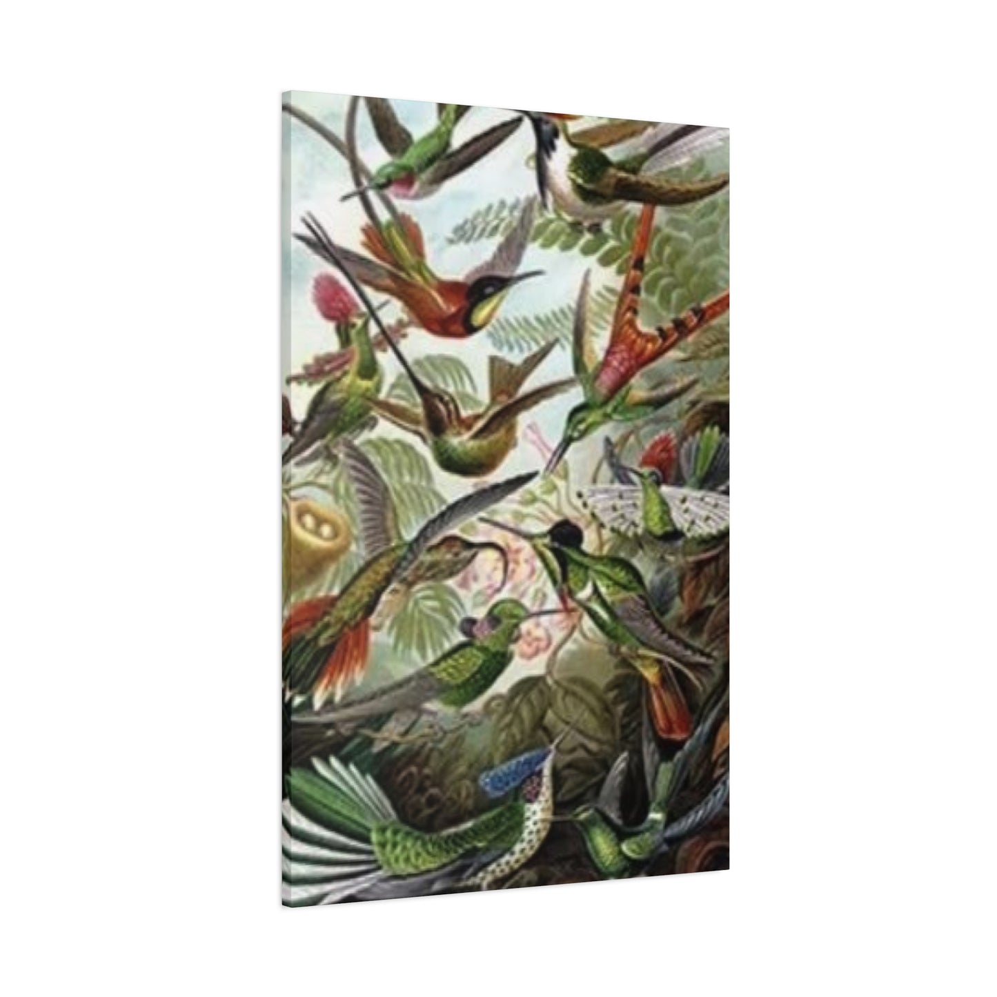 Humming Birds Painting Wall Art & Canvas Prints