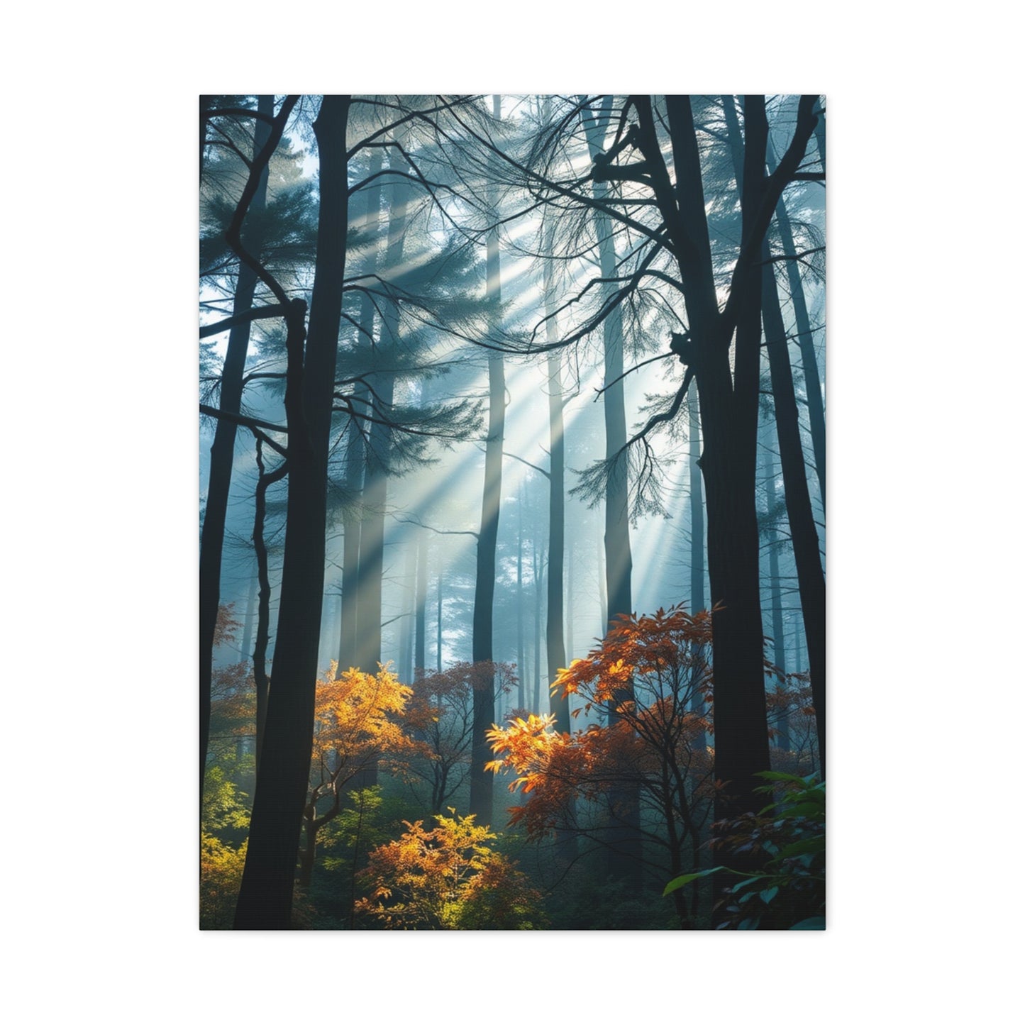 Grove Enchantment Wall Art Wall Art & Canvas Print
