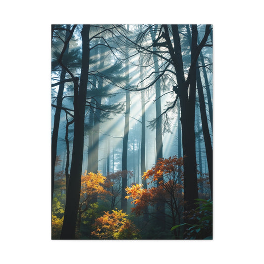 Grove Enchantment Wall Art Wall Art & Canvas Print