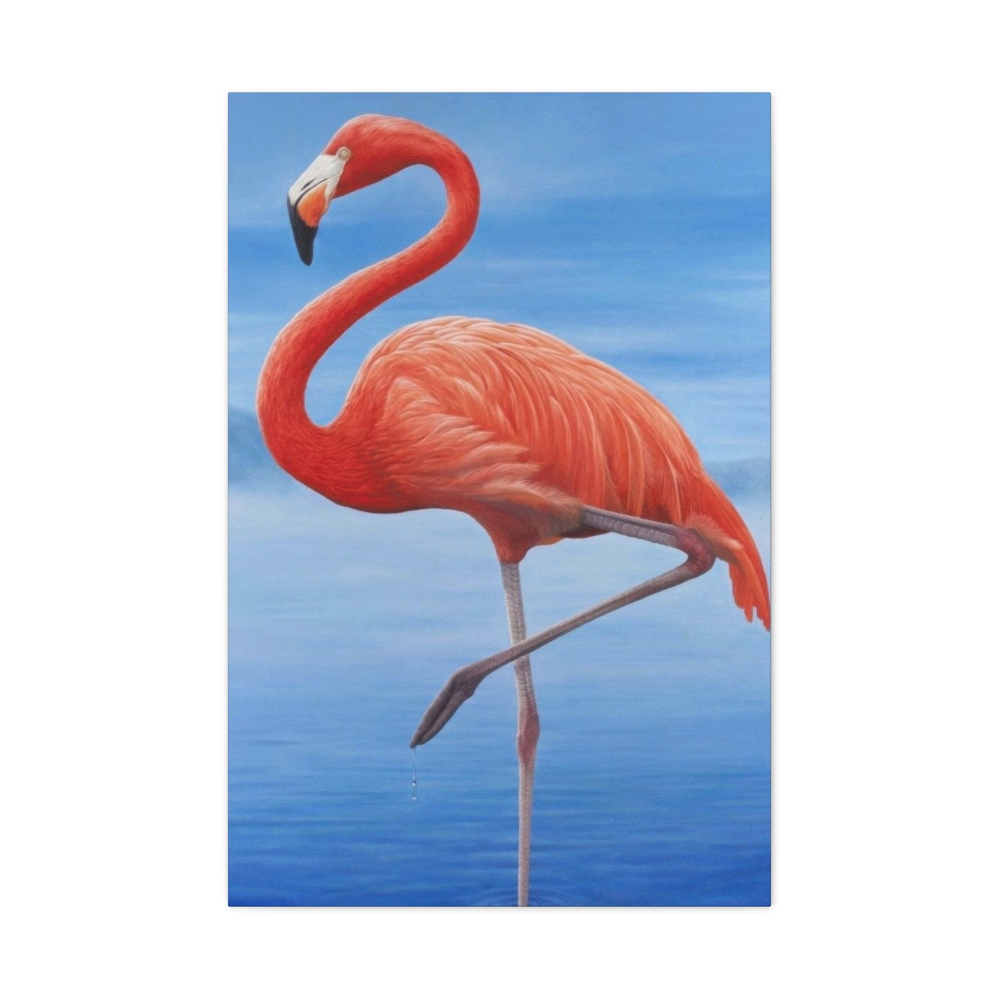 Flamingo Blue Water Wall Art & Canvas Prints