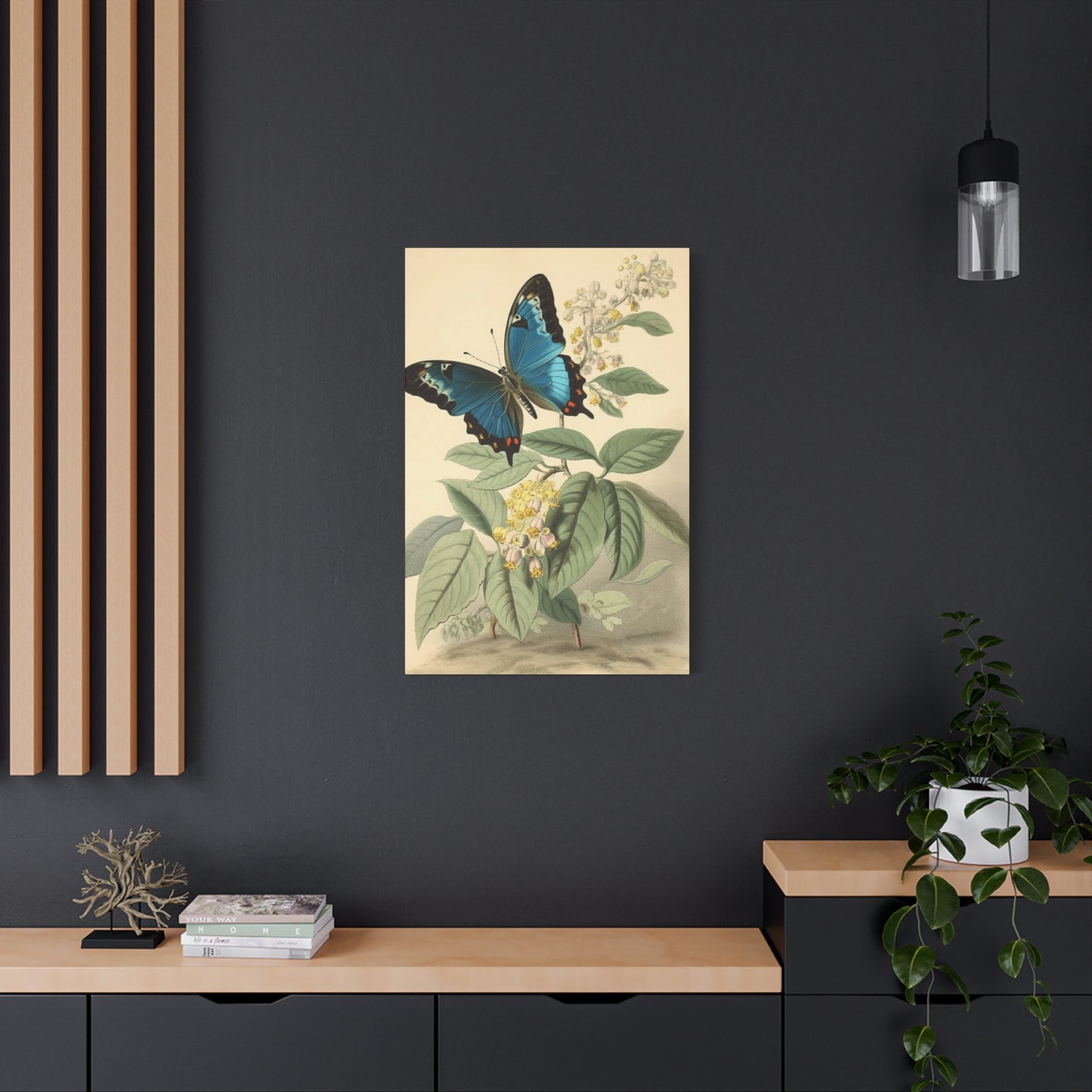 Butterfly on Brown Background Wall Art & Canvas Prints