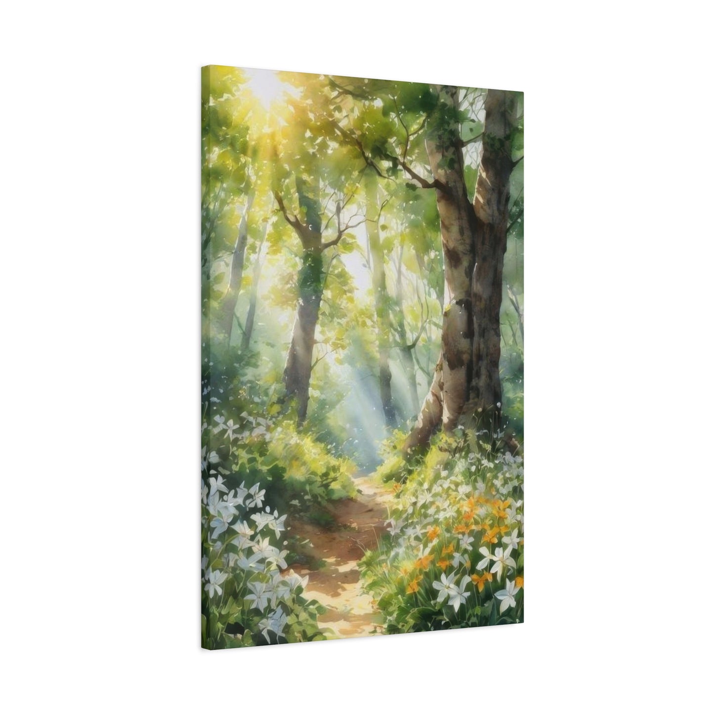Forest Path Lit Wall Art & Canvas Prints