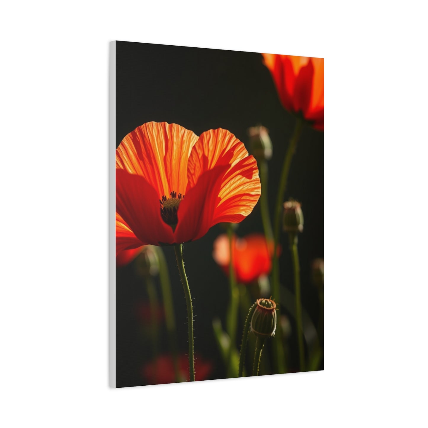 Poppy Flower Art Luxury Canvas Wall Art & Canvas Print