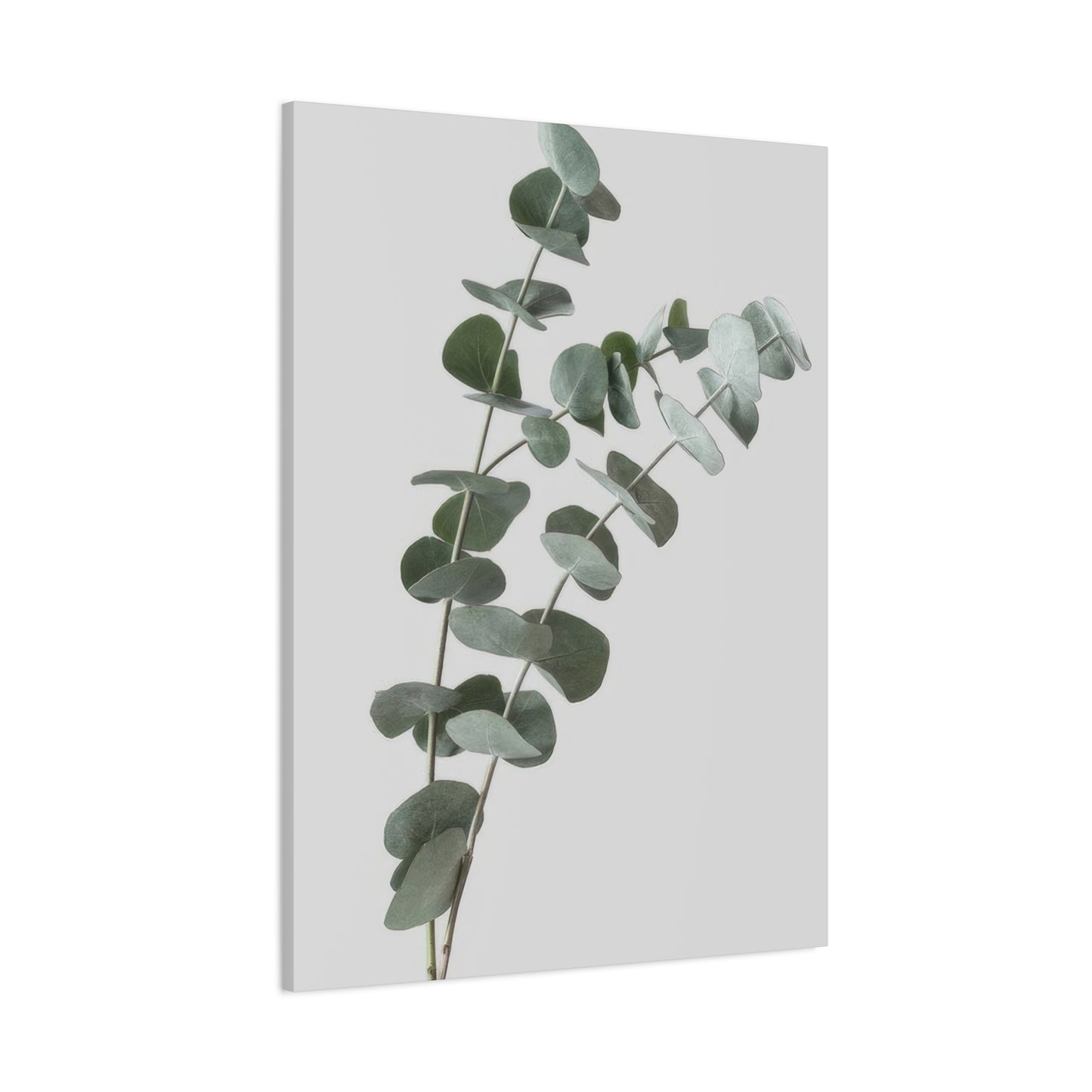 Eucalyptus Plant Dark Green Desaturate Wall Art & Canvas Prints