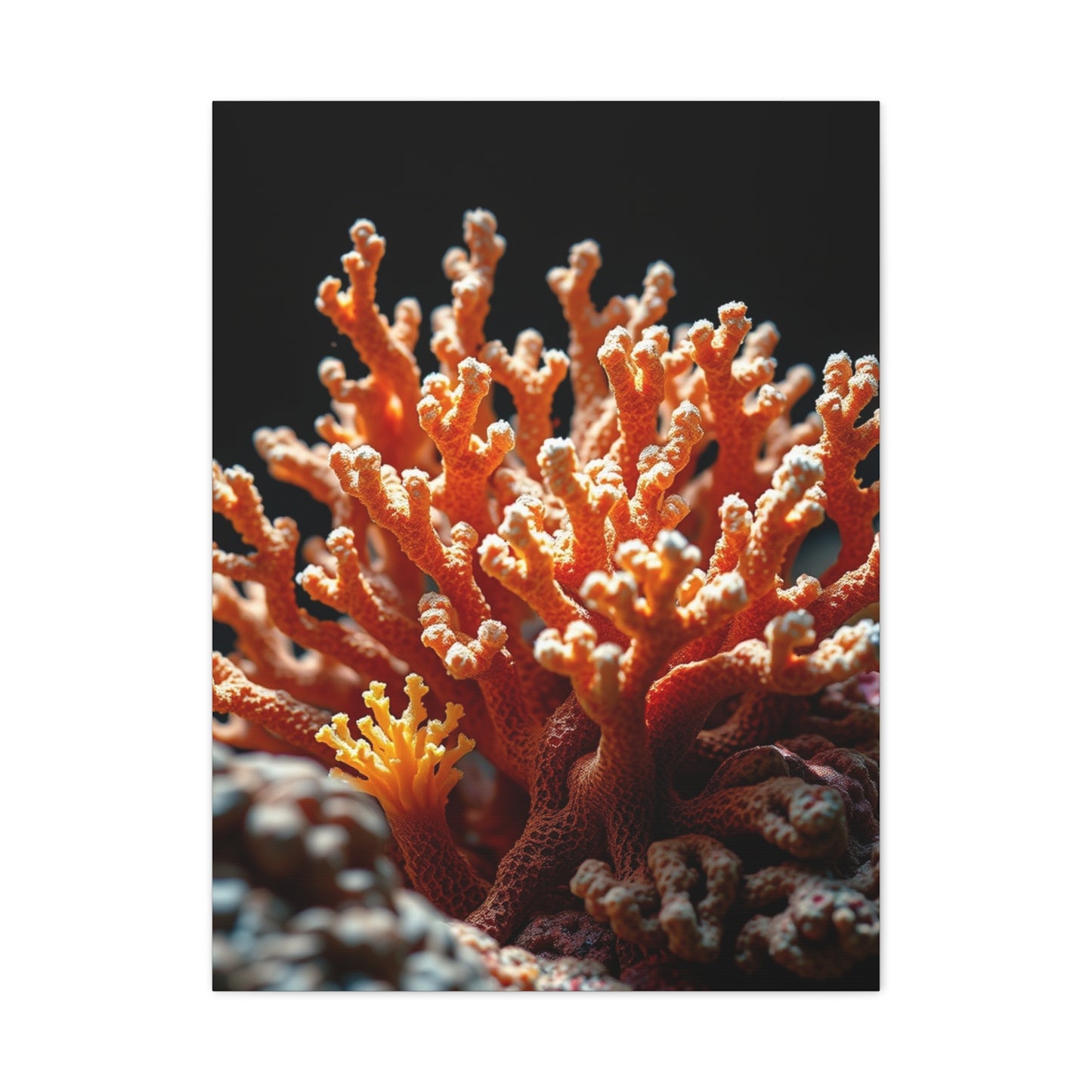 Coral Art Refined Canvas Wall Art & Canvas Print