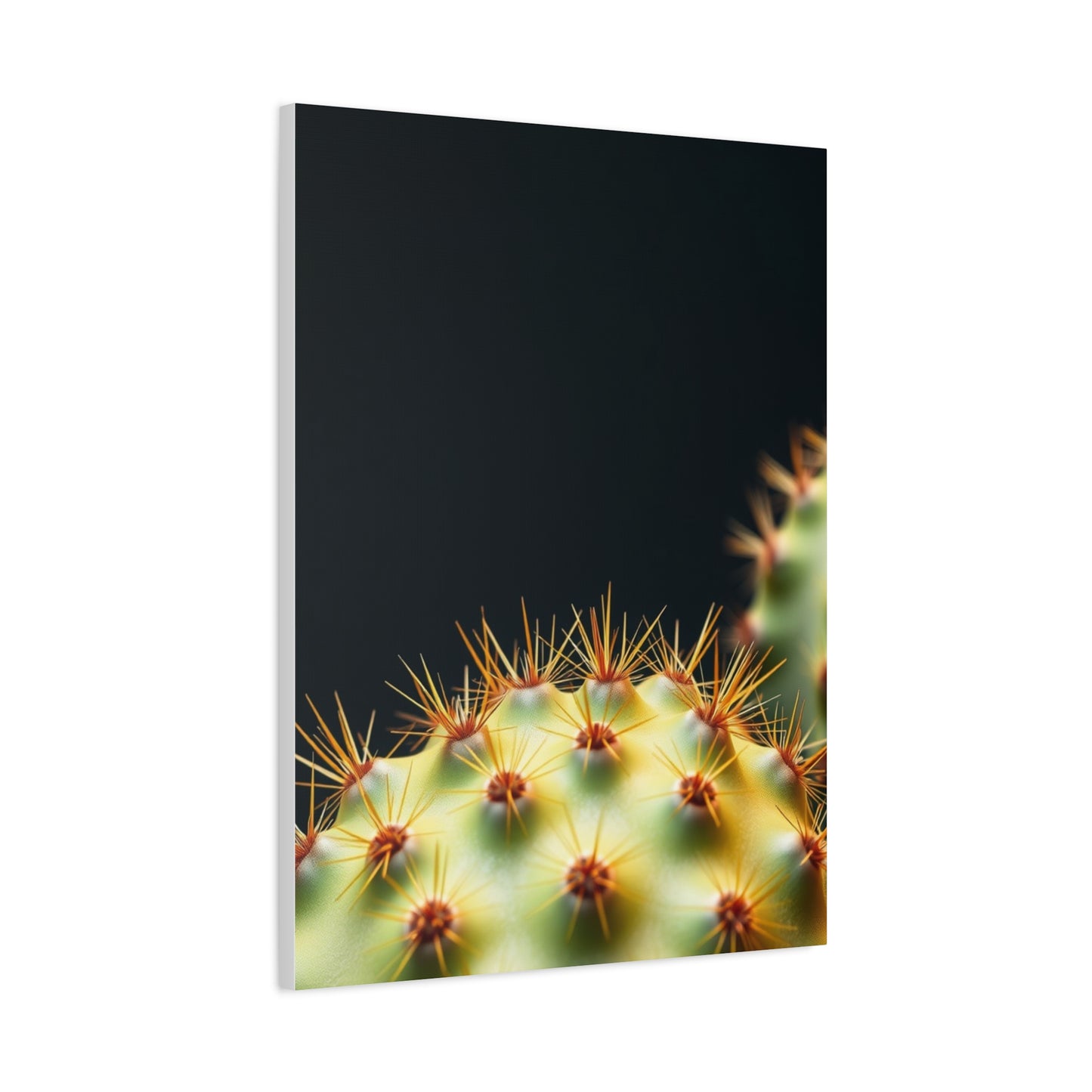 Prickly Grace Gallery Wall Art & Canvas Print