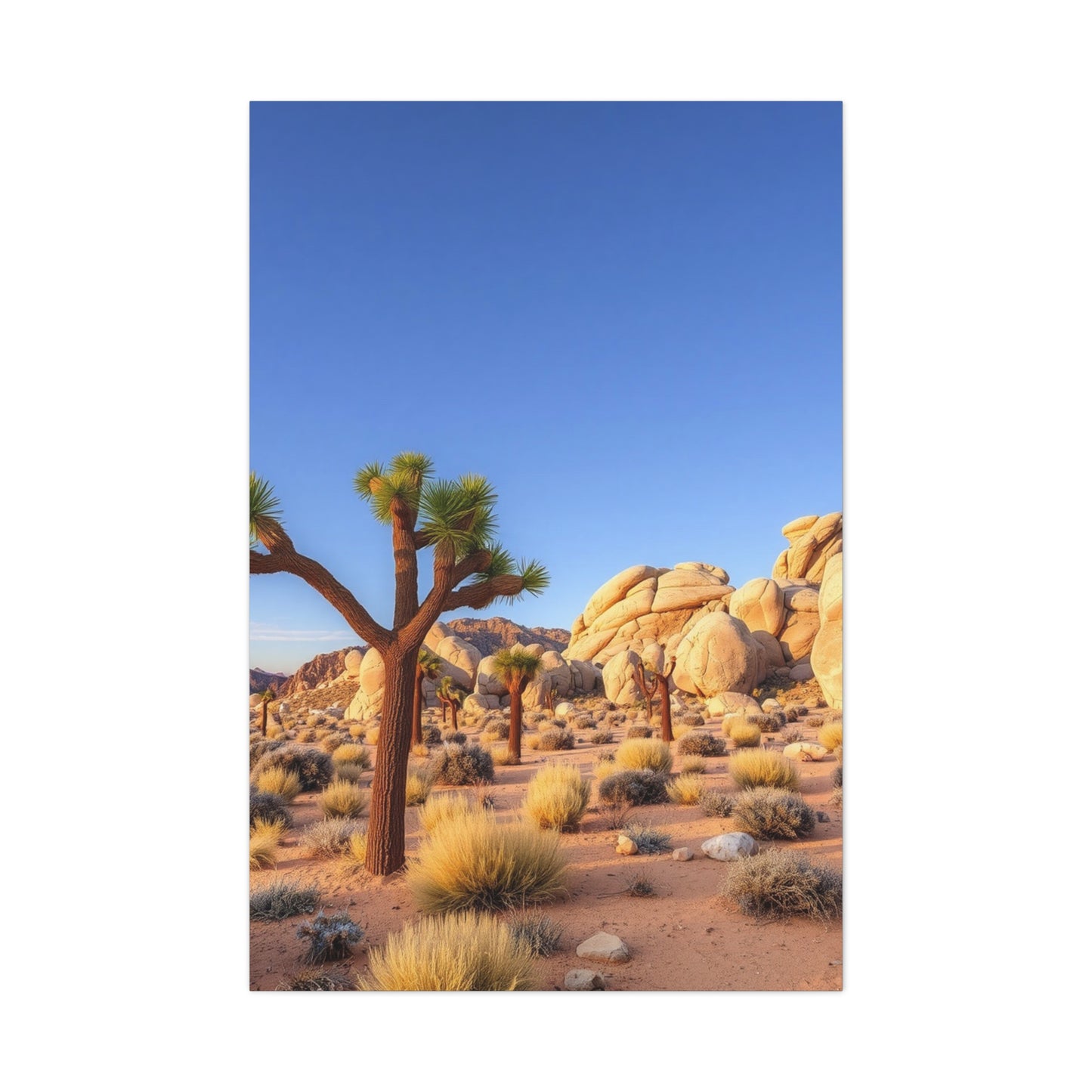 Joshua Tree National Park Art Supreme Gallery Wall Art & Canvas Print