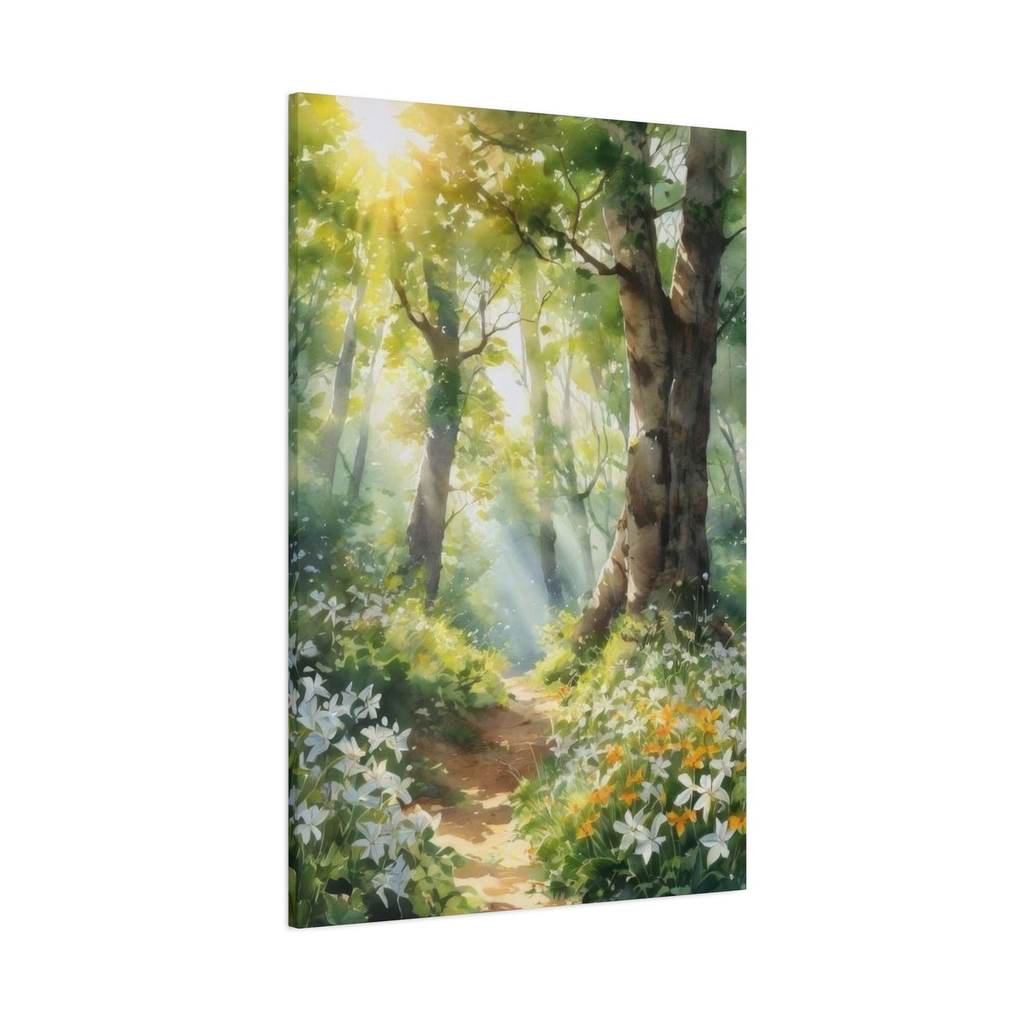 Forest Path Lit Wall Art & Canvas Prints