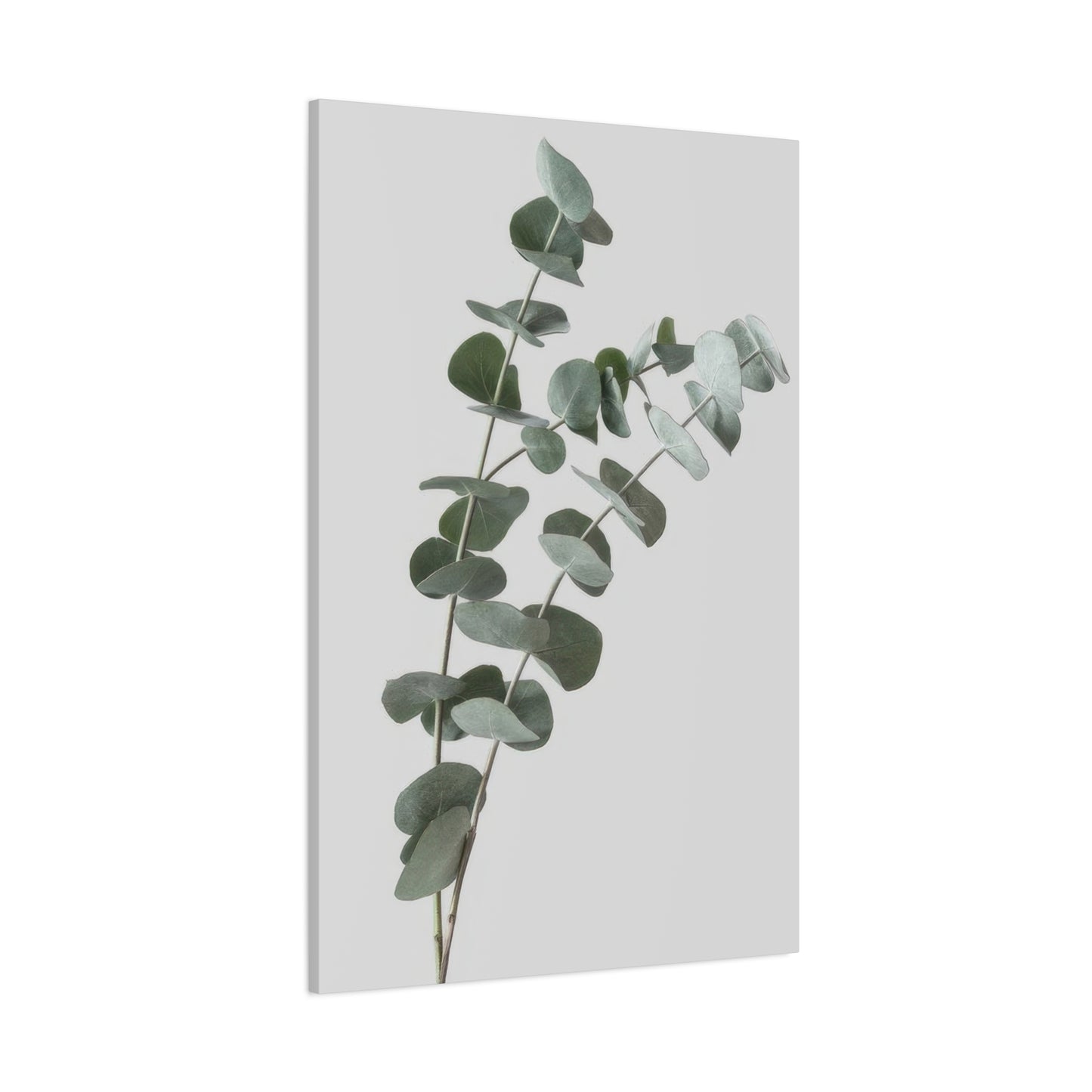 Eucalyptus Plant Dark Green Desaturate Wall Art & Canvas Prints