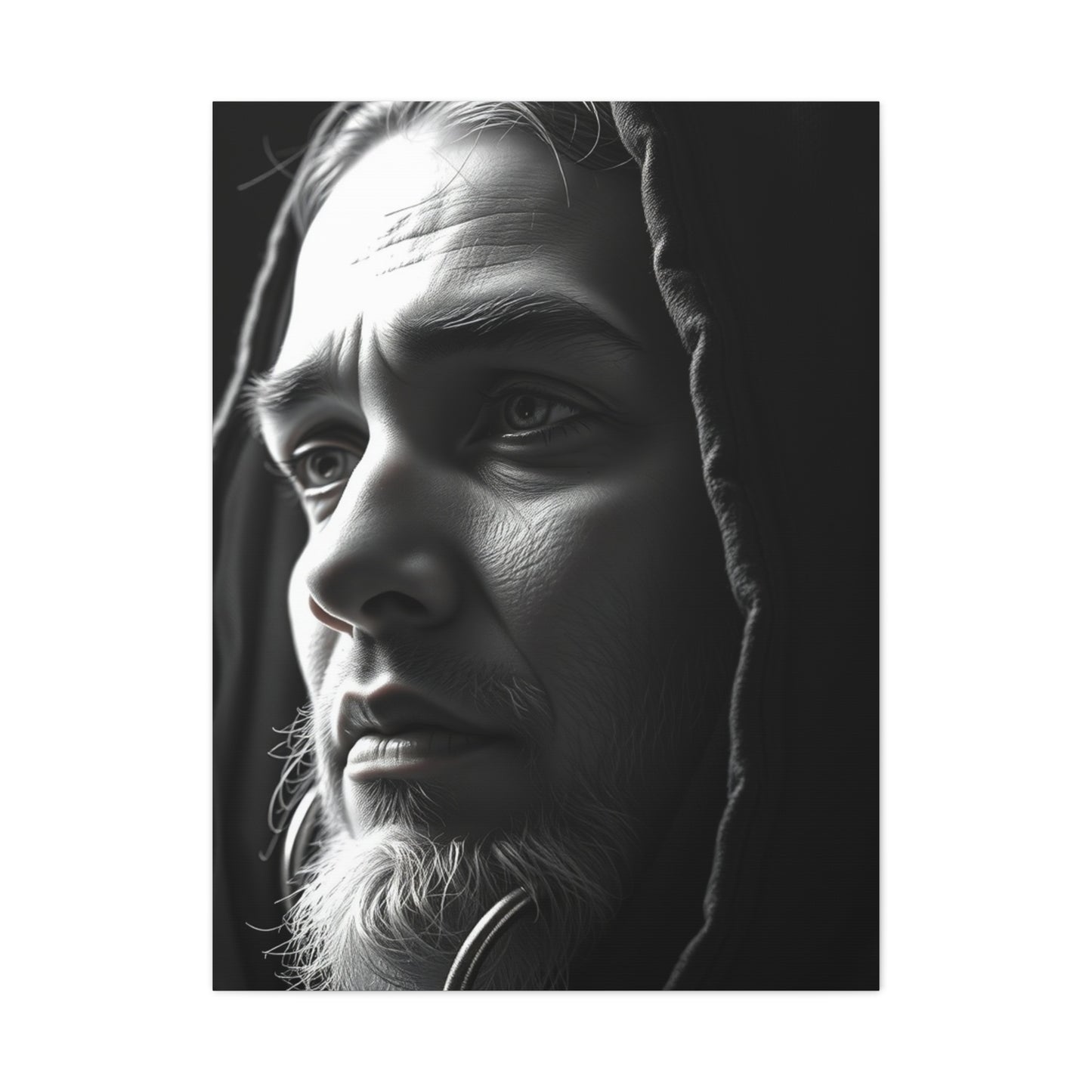 Exquisite Shade Canvas Wall Art & Canvas Print