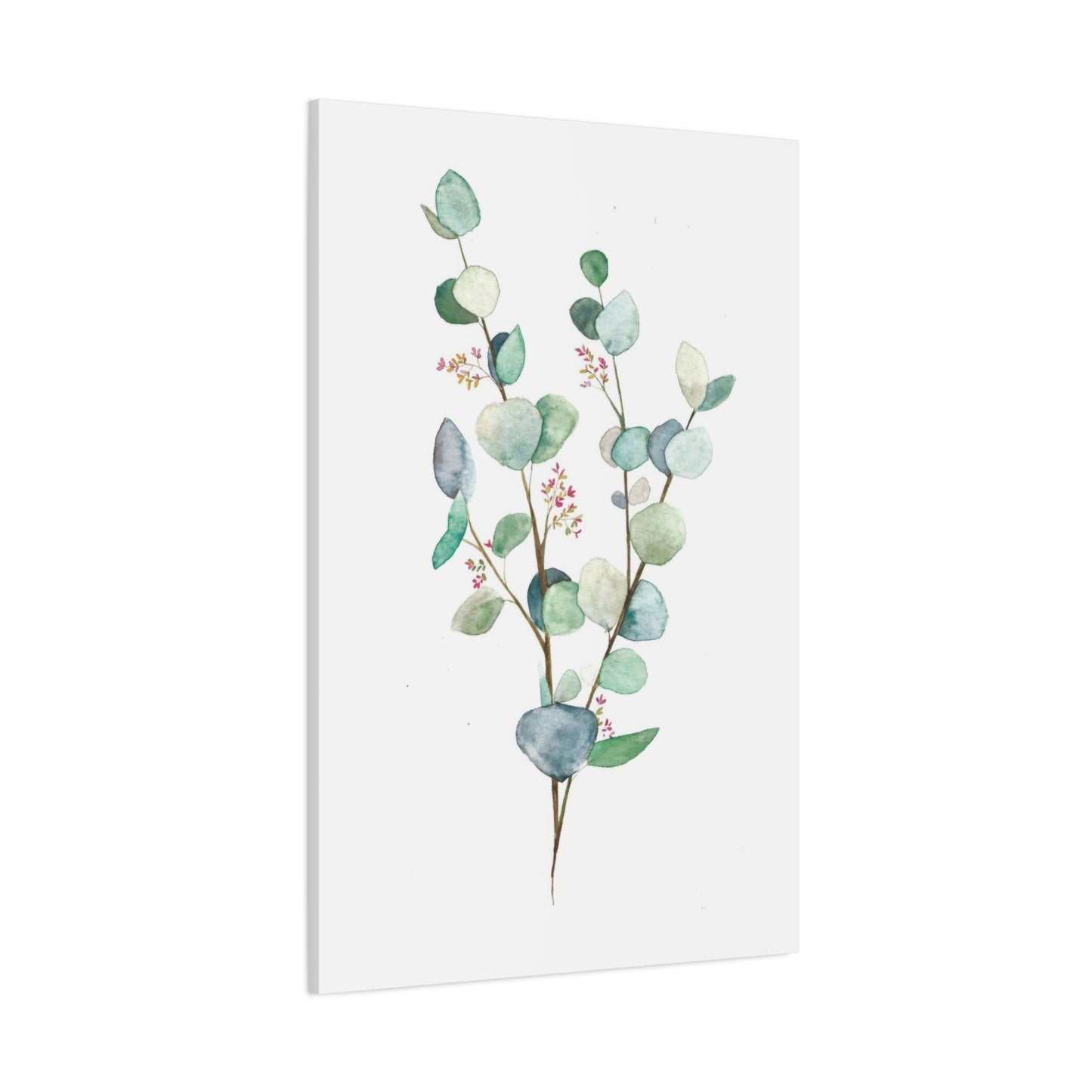 Eucalyptus Plant Light 2 Wall Art & Canvas Prints