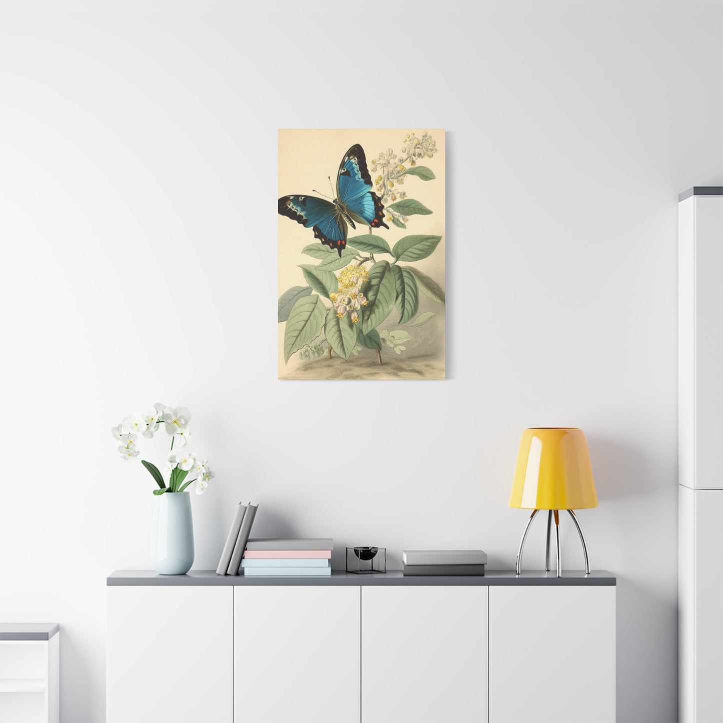 Butterfly on Brown Background Wall Art & Canvas Prints