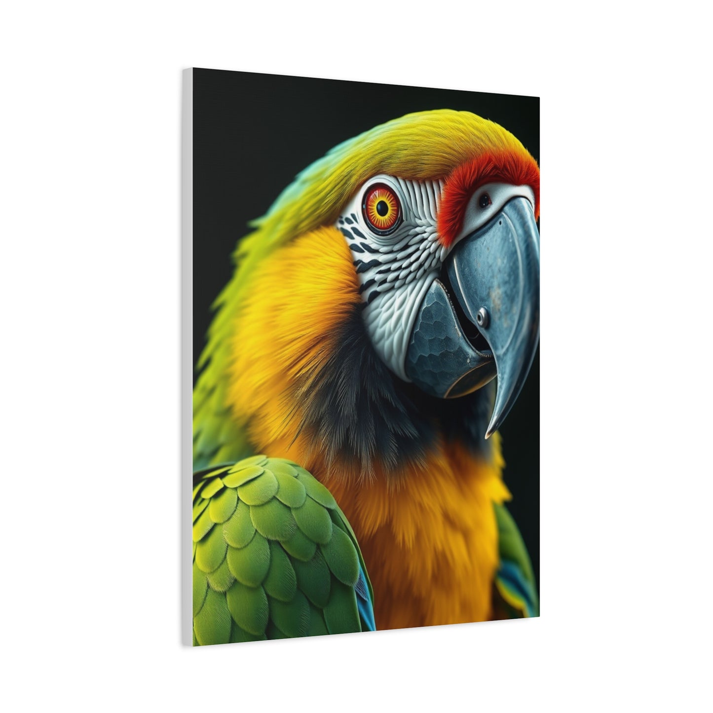 Elite Parrot Art Vision Wall Art & Canvas Print