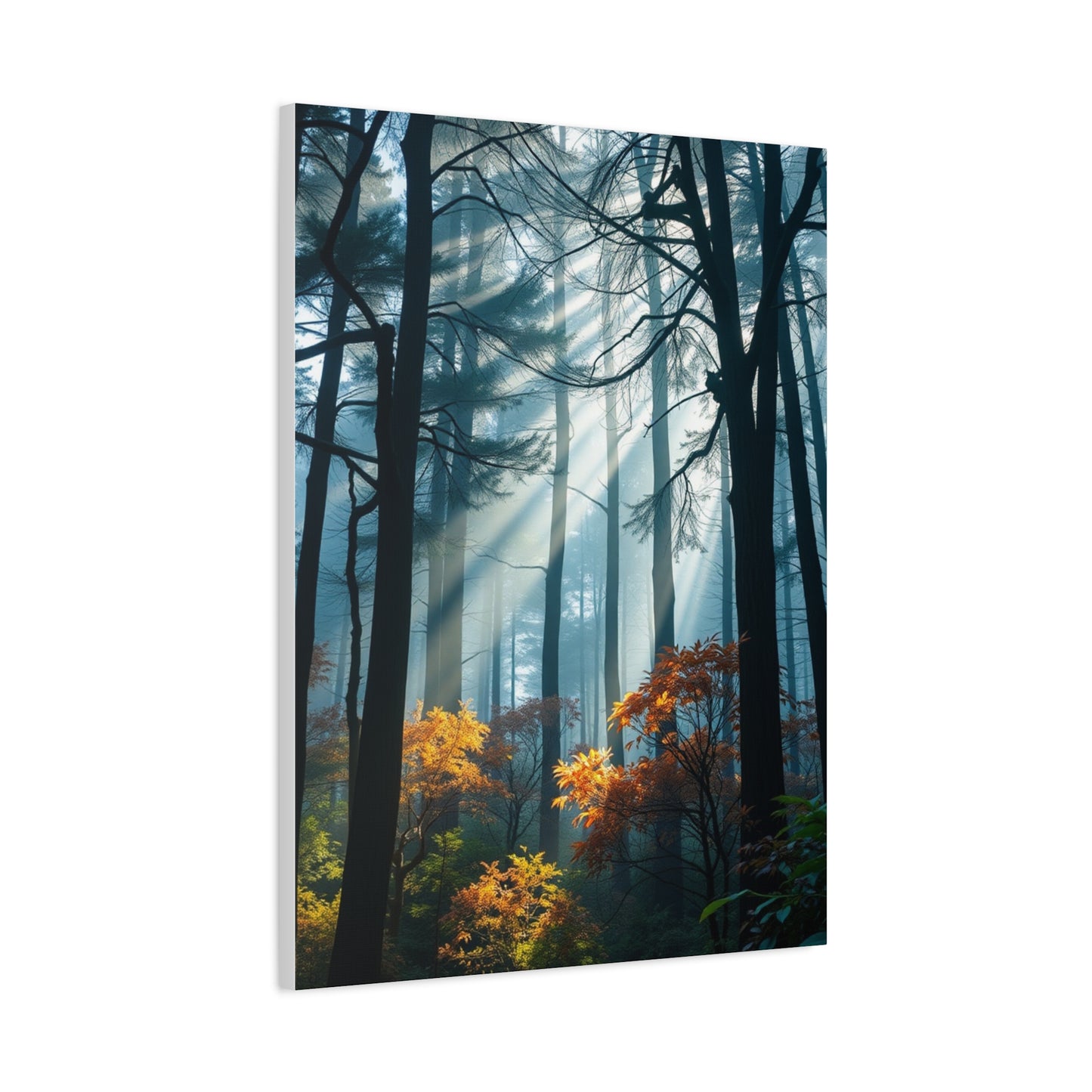Grove Enchantment Wall Art Wall Art & Canvas Print