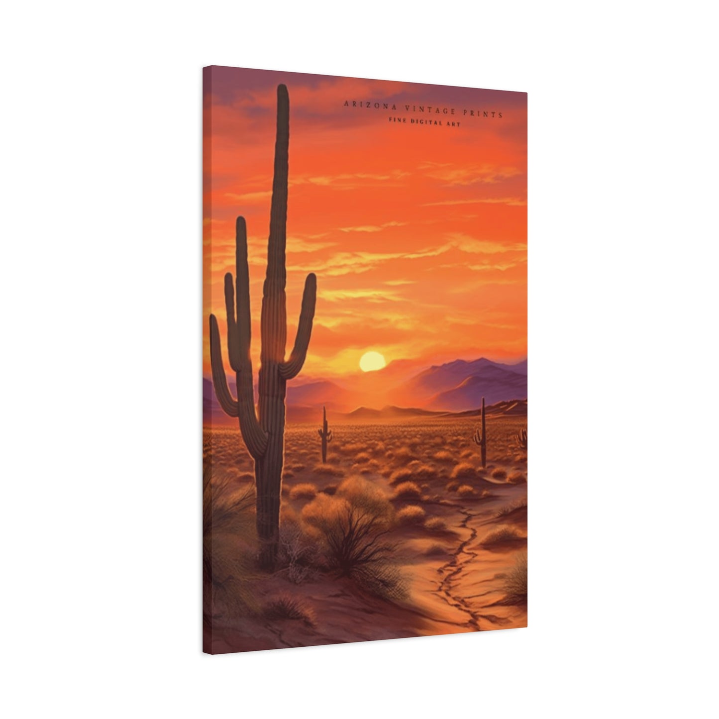 Cactus and Sunset in Desert Wall Art & Canvas Prints
