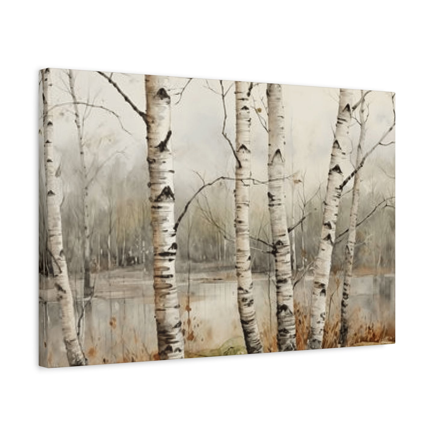 Birch Trees Beside Lake Wall Art & Canvas Prints