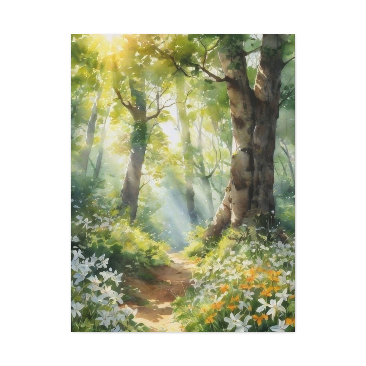 Forest Path Lit Wall Art & Canvas Prints
