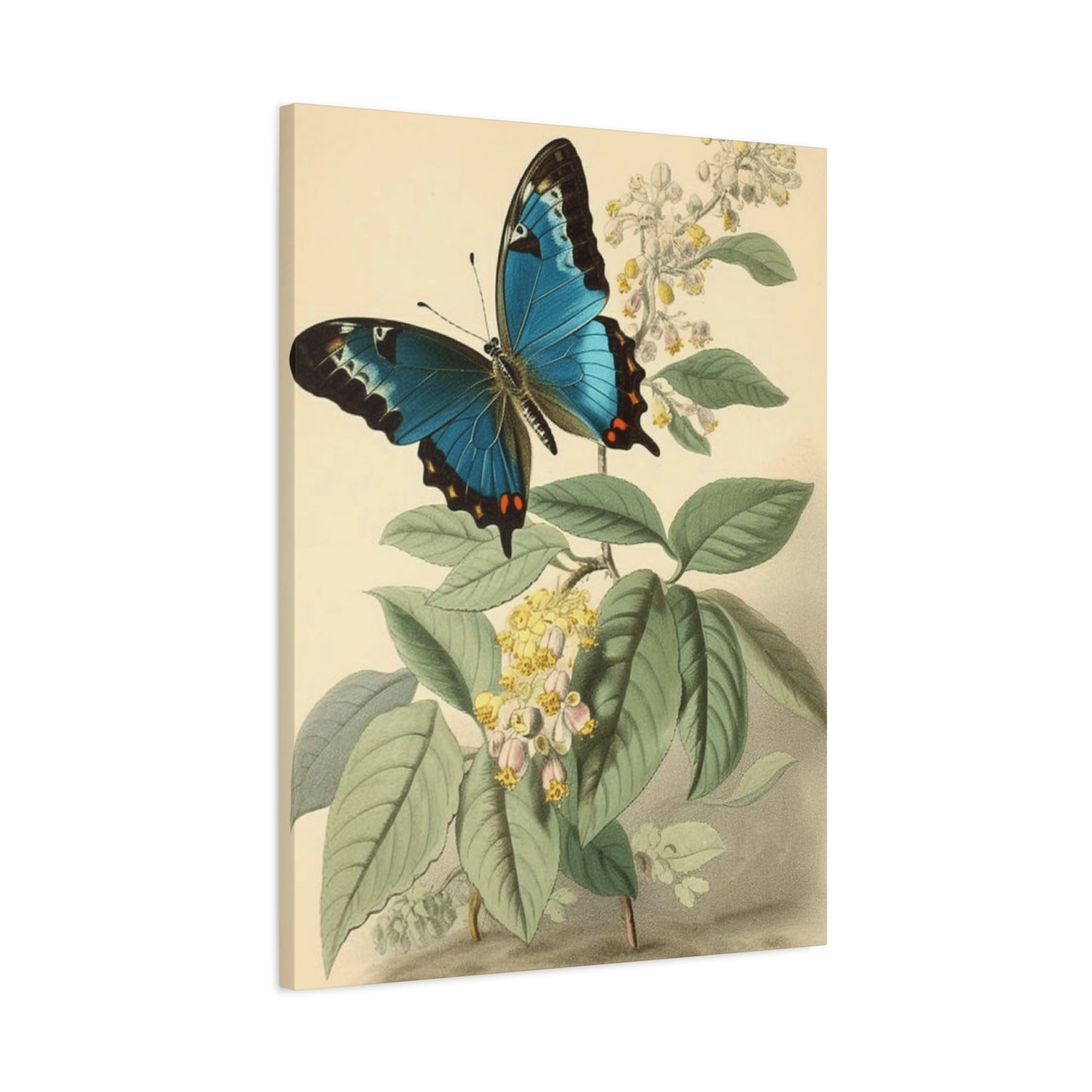 Butterfly on Brown Background Wall Art & Canvas Prints