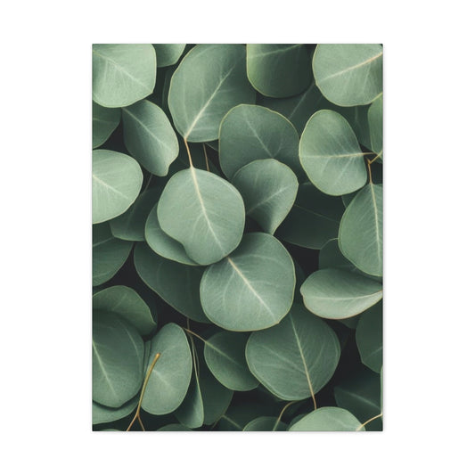 Eucalyptus Pattern 2 Wall Art & Canvas Prints