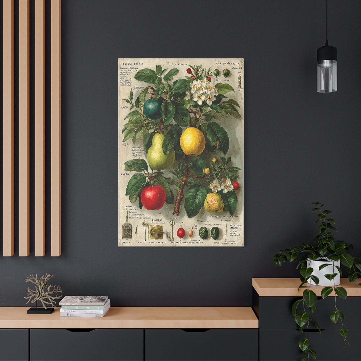 Antique Pomology Botanical Study Wall Art & Canvas Print