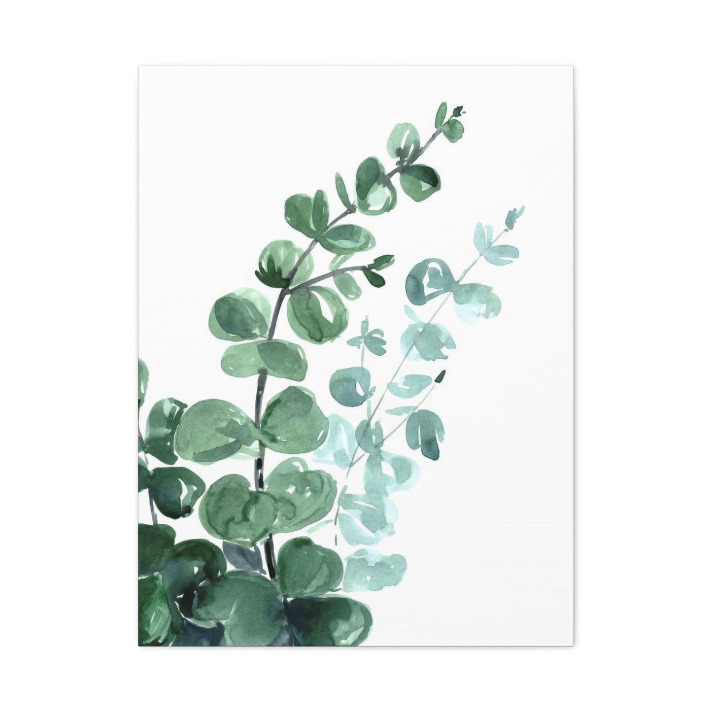 Eucalyptus Emerging Bottom Left Wall Art & Canvas Prints