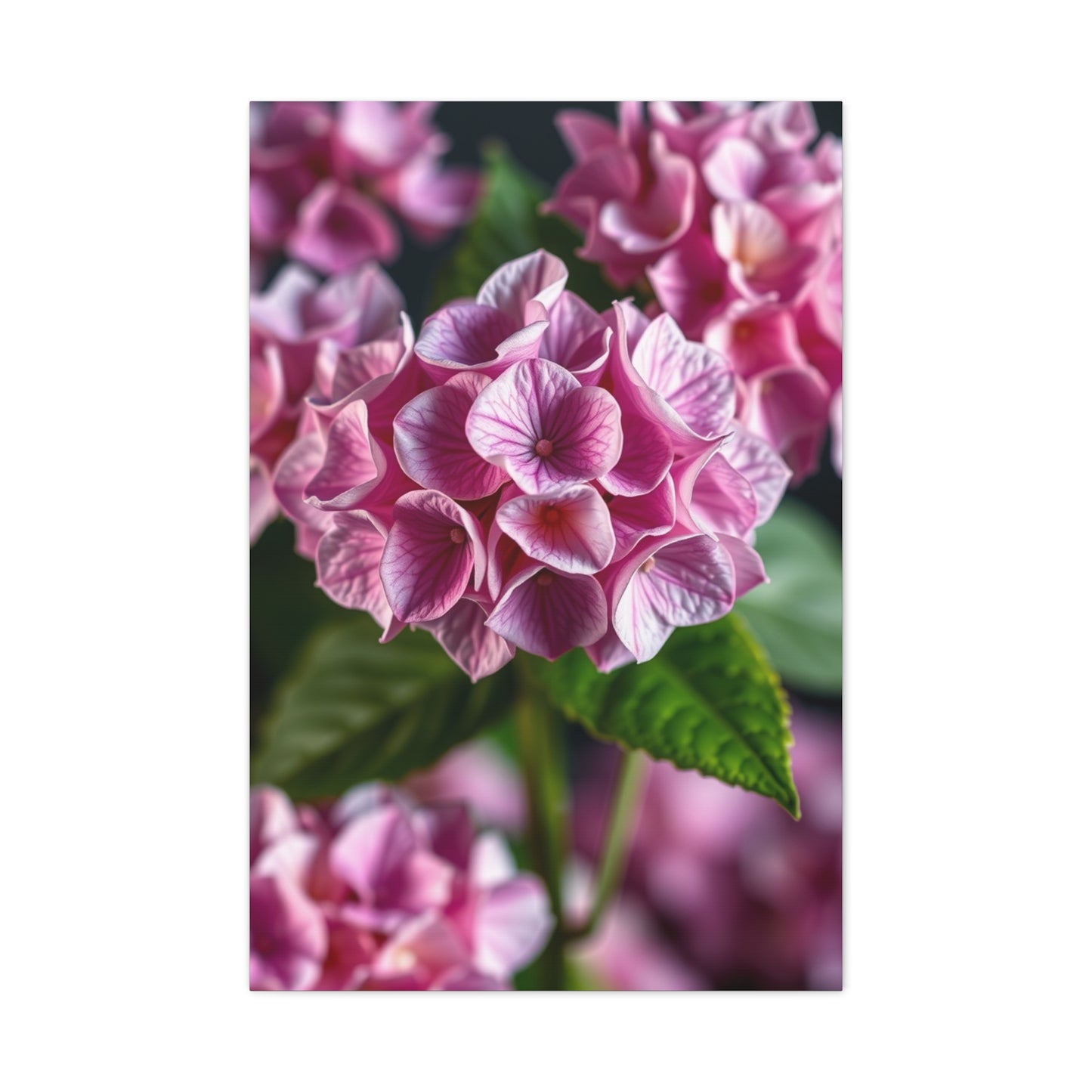 Supreme Hydrangea Flower Art Collection Wall Art & Canvas Print