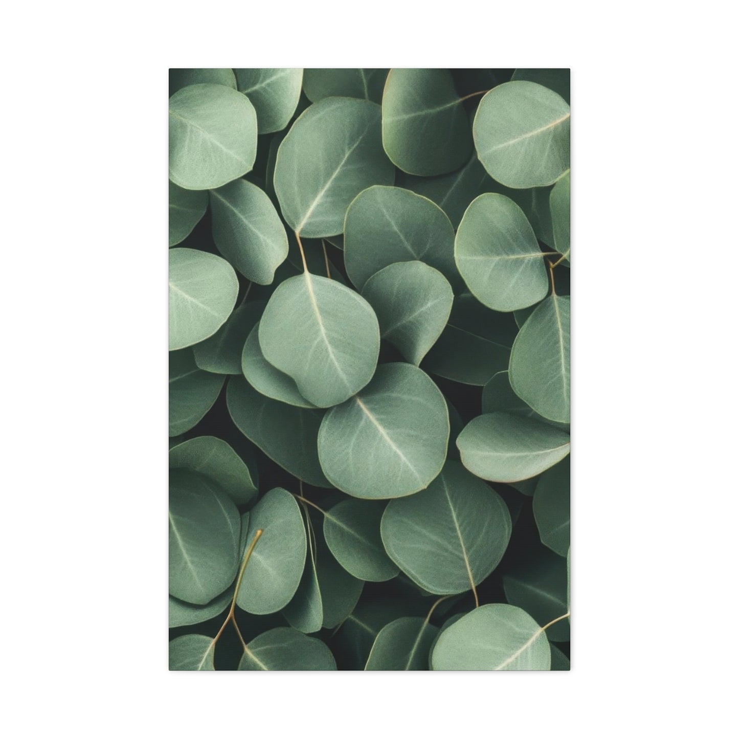Eucalyptus Pattern 2 Wall Art & Canvas Prints