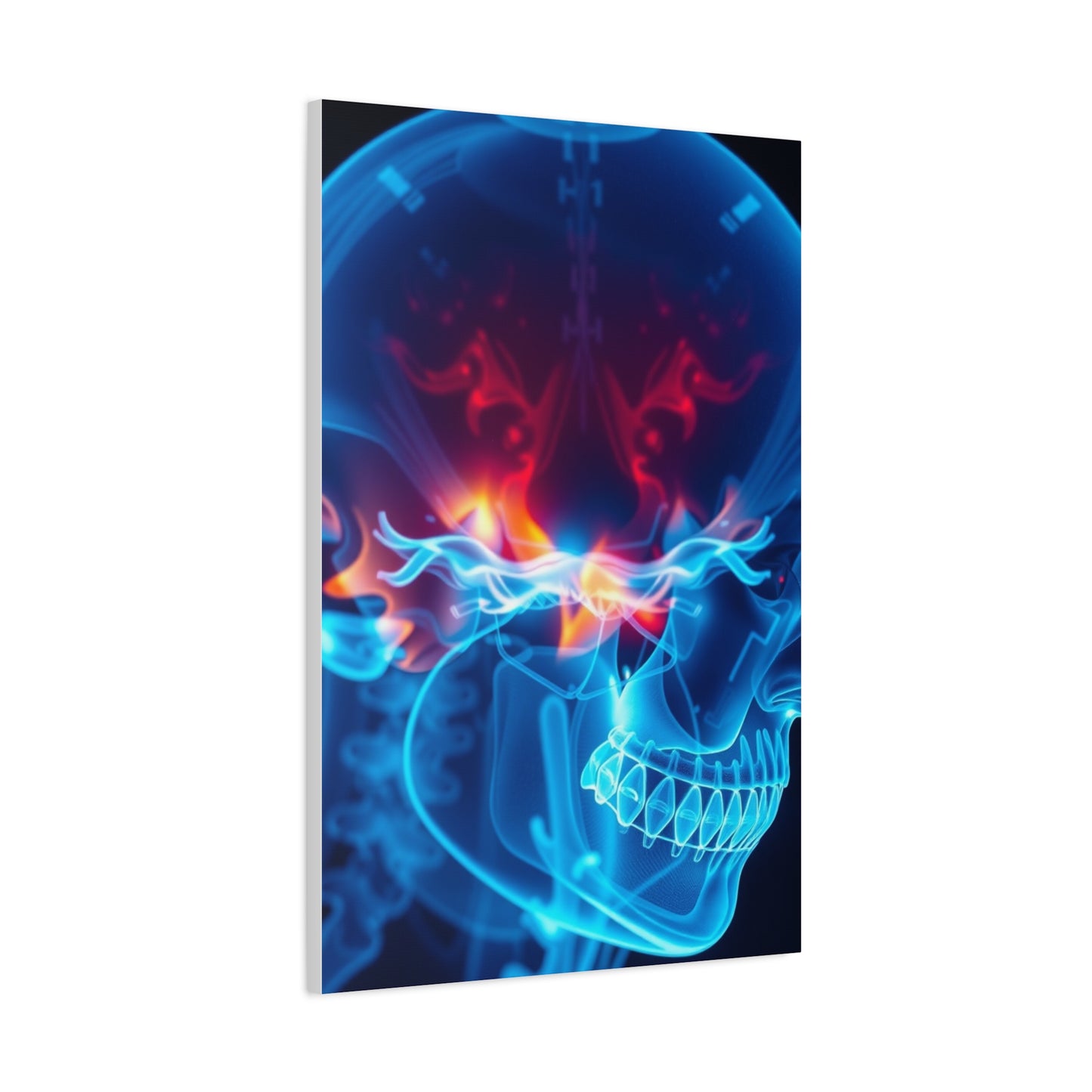 X-Ray Photography Art Luxury Canvas Wall Art & Canvas Print