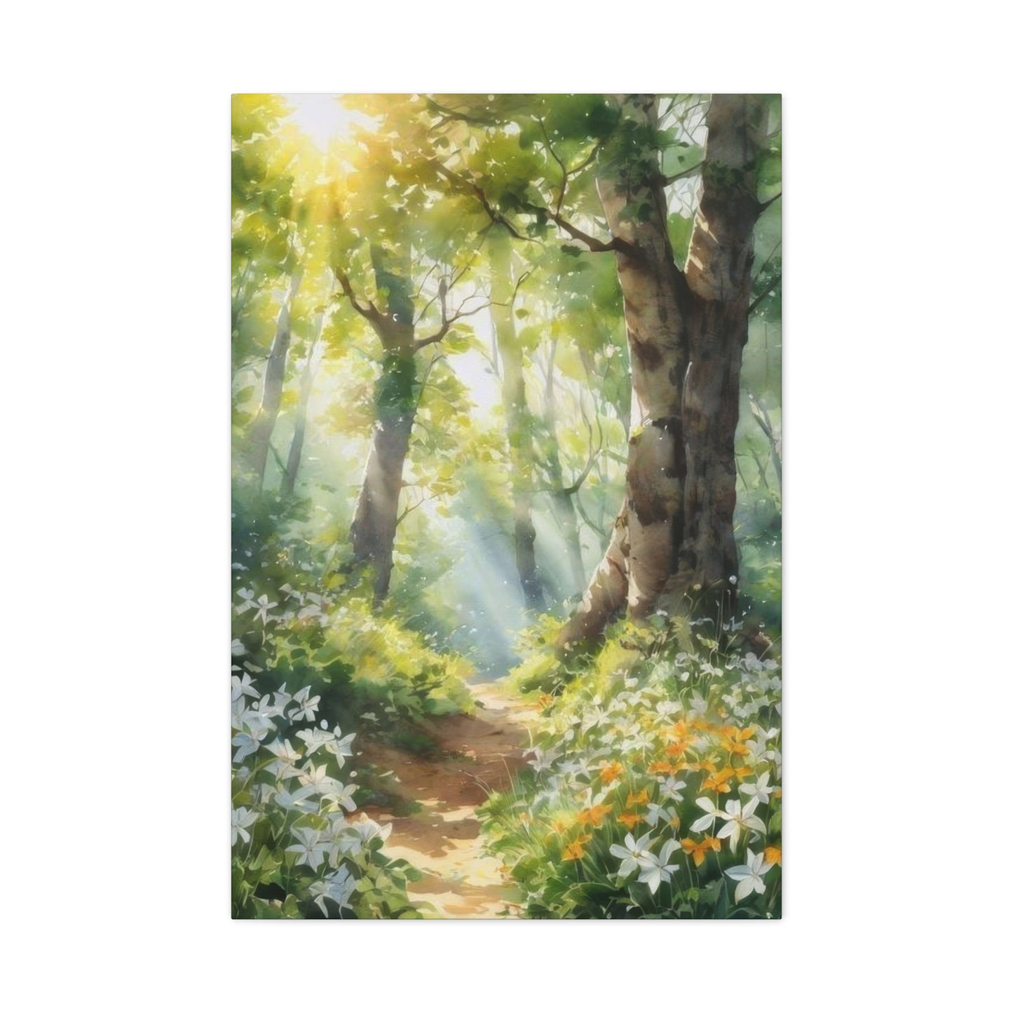 Forest Path Lit Wall Art & Canvas Prints