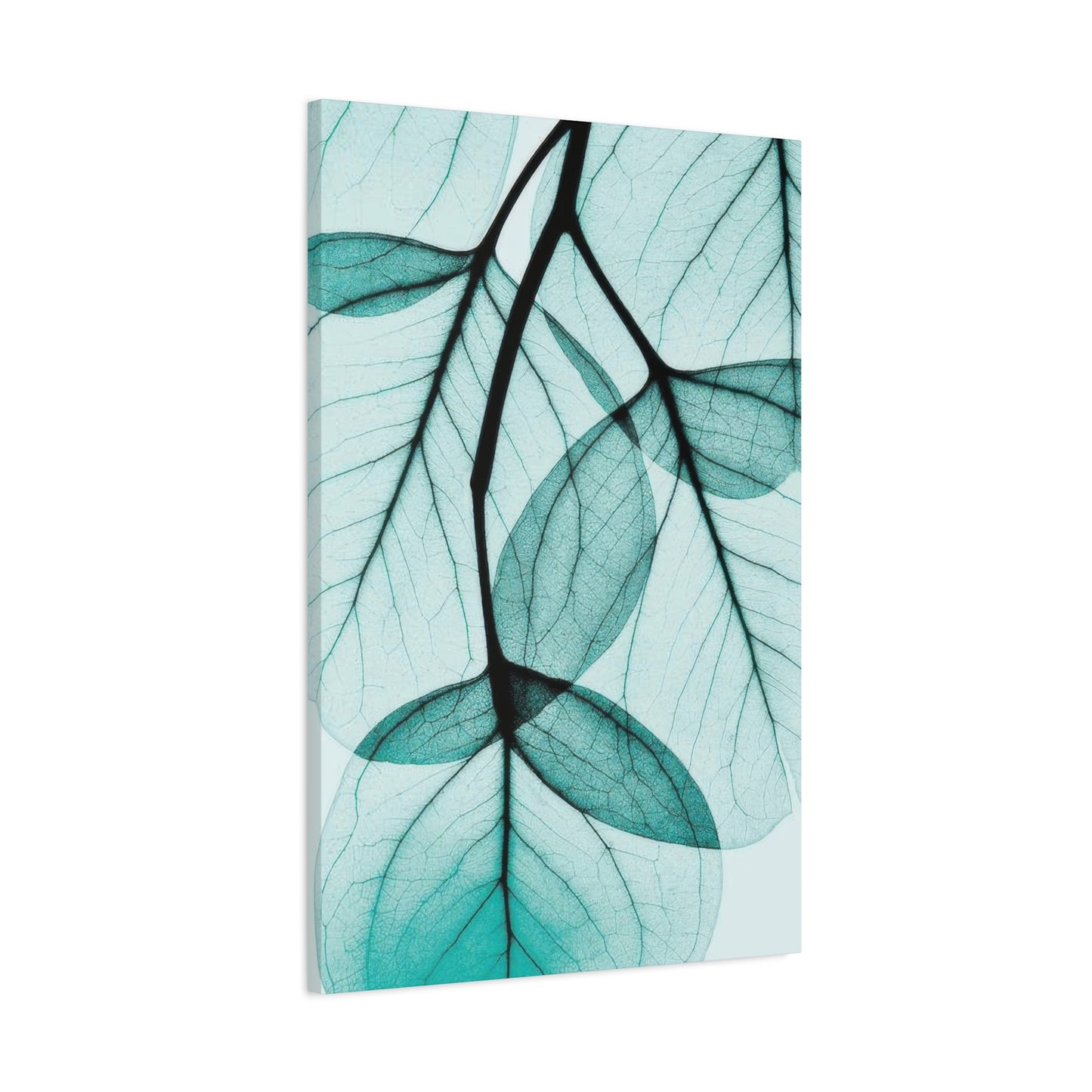 Eucalyptus Leaves Wall Art & Canvas Prints