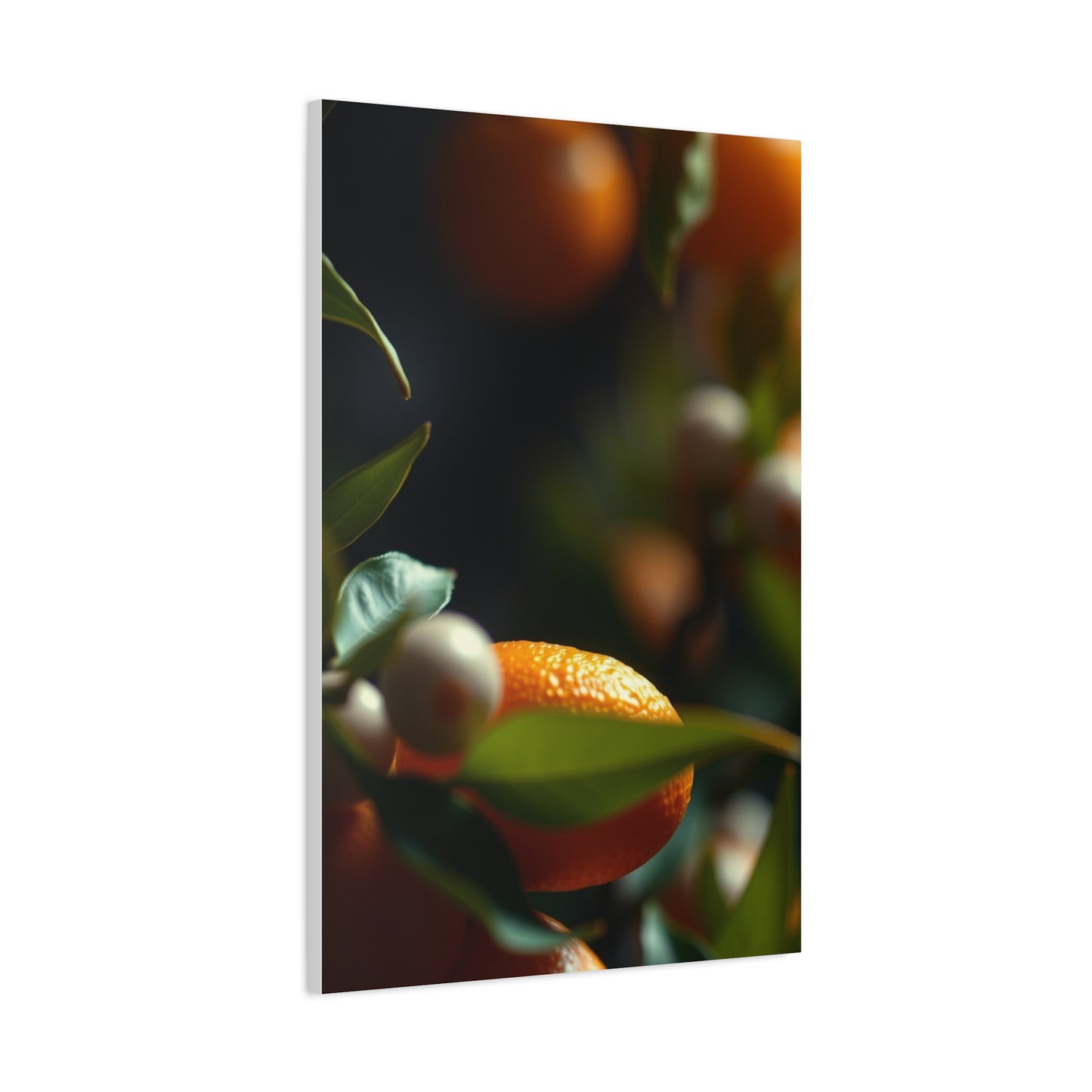 Citrus Elegance Wall Decor Wall Art & Canvas Print