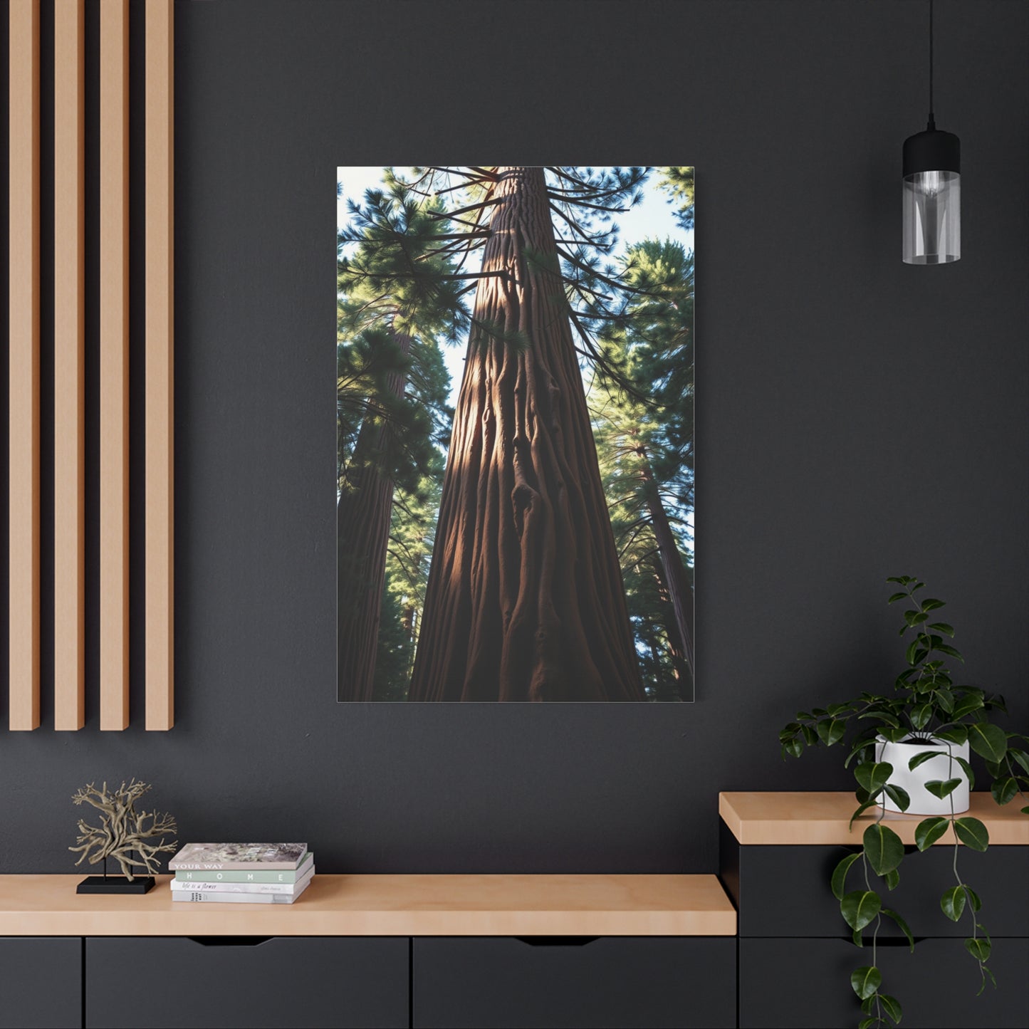 Redwood Tree Art Supreme Gallery Wall Art & Canvas Print
