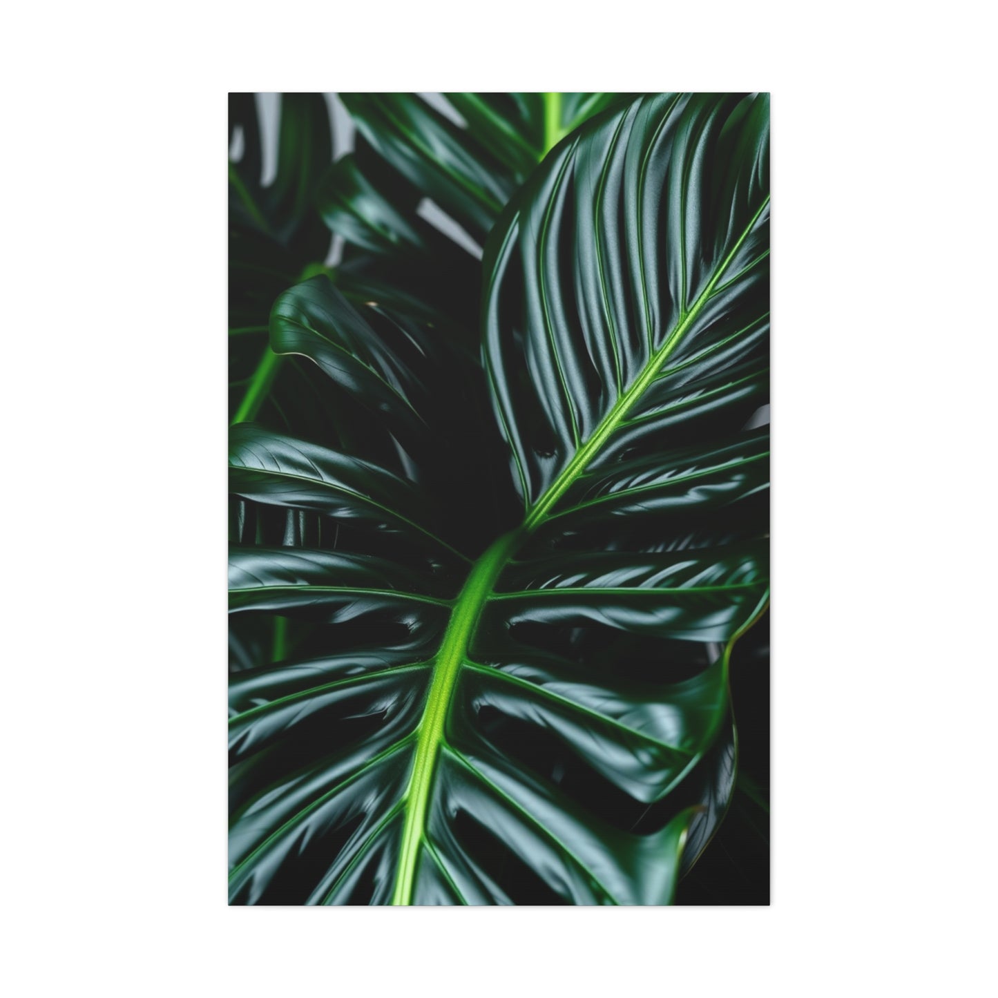 Monstera Plant Art Refined Canvas Wall Art & Canvas Print