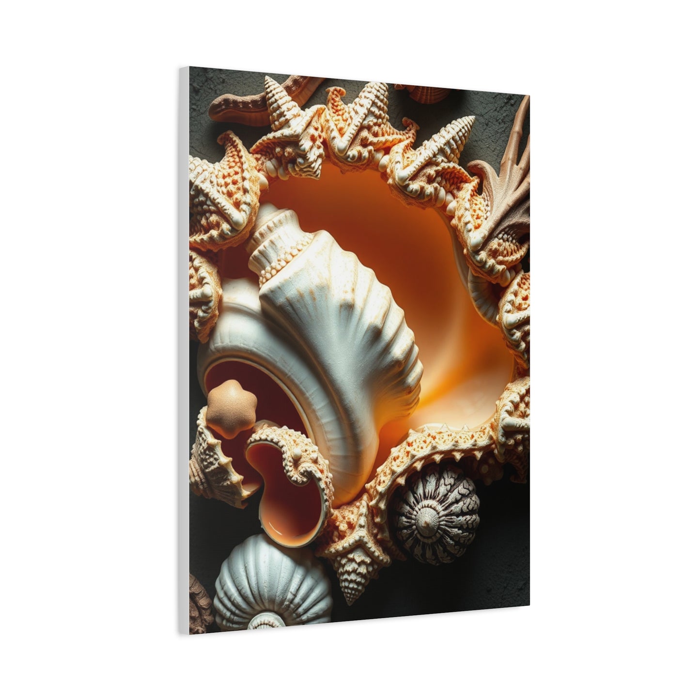 Collection Sea Shell Art Art Wall Art & Canvas Print