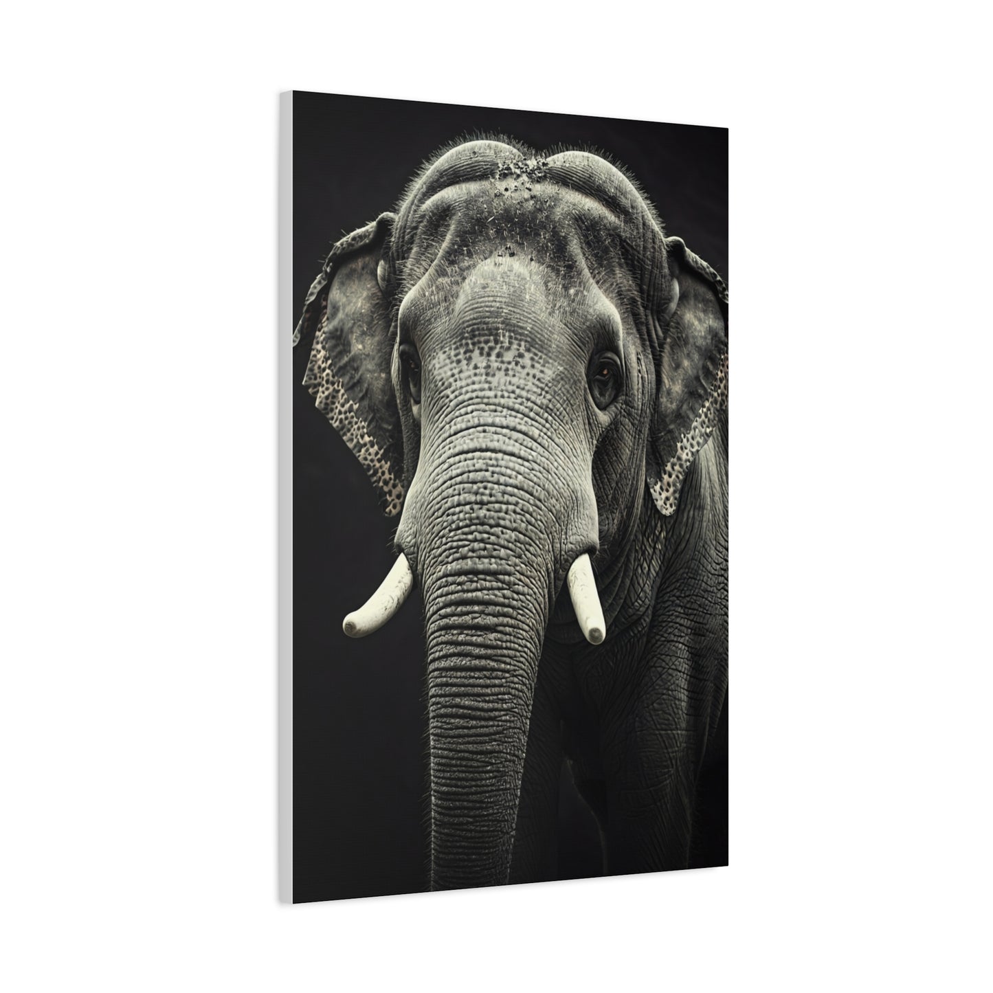 Regal Elephant Close-Up Wall Art & Canvas Prints