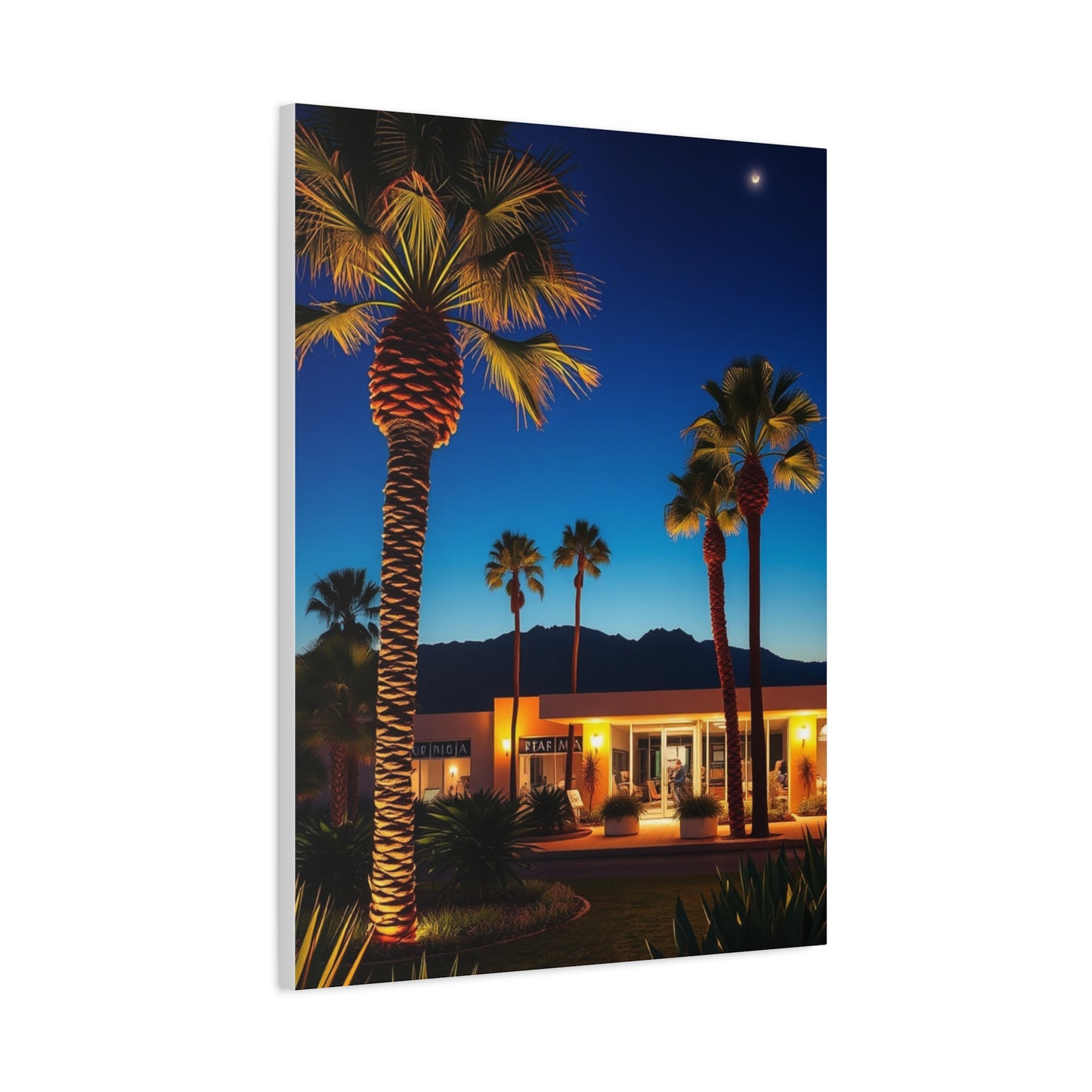 Palm Springs Art Refined Canvas Wall Art & Canvas Print
