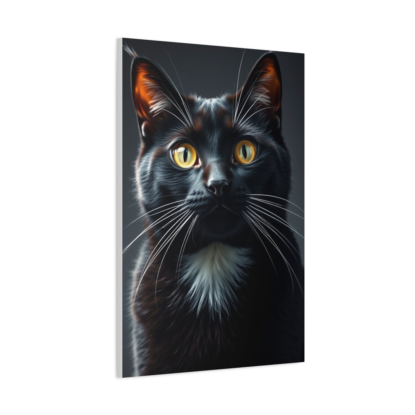 Supreme Tuxedo Cat Art Collection Wall Art & Canvas Print