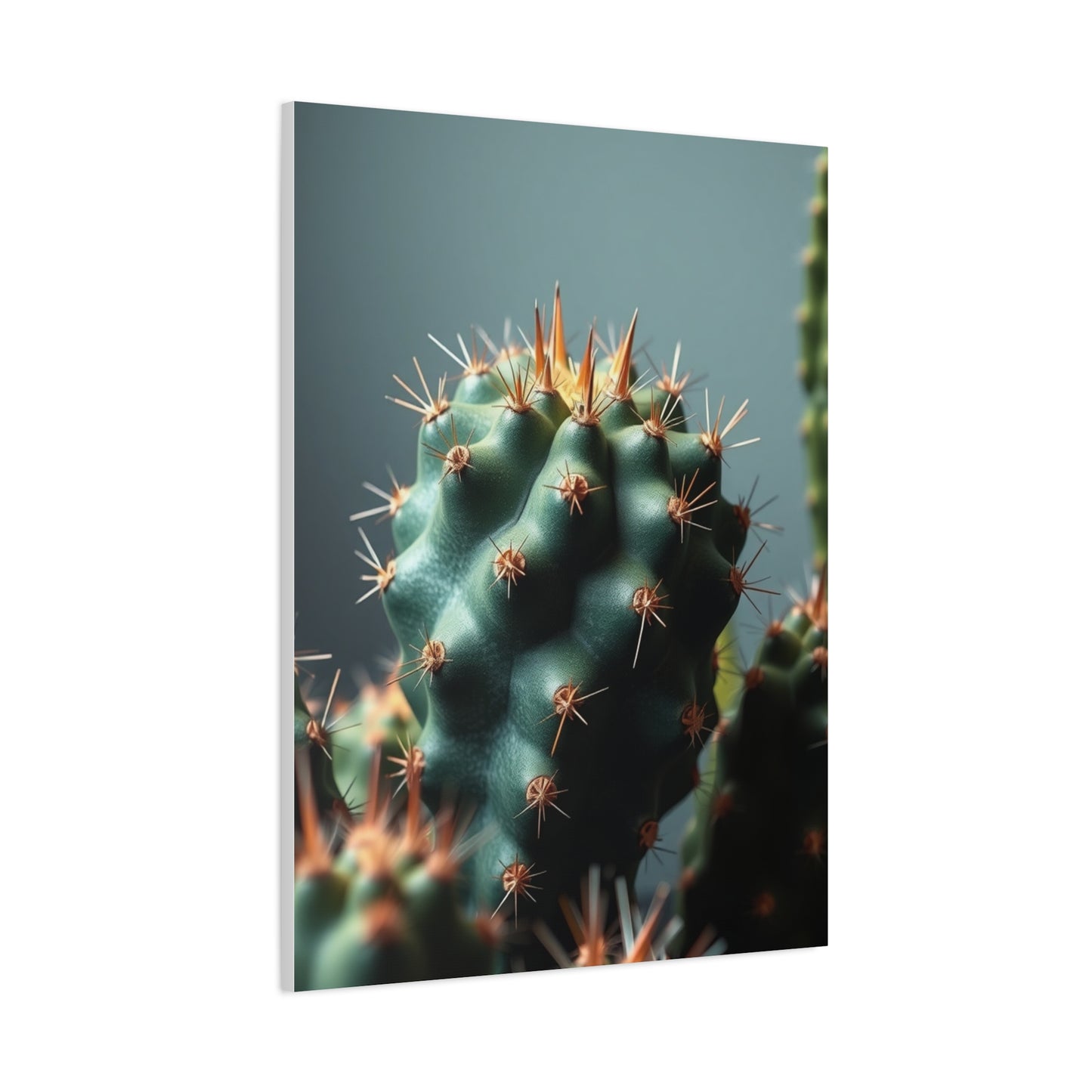 Cactus Harmony Canvas Wall Art & Canvas Print