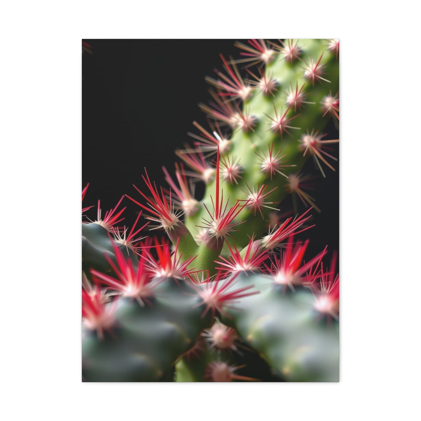 Succulent Symphony Wall Art Wall Art & Canvas Print