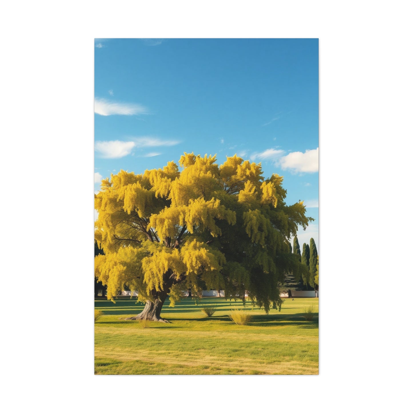 Sylvan Reverie Decor Wall Art & Canvas Print