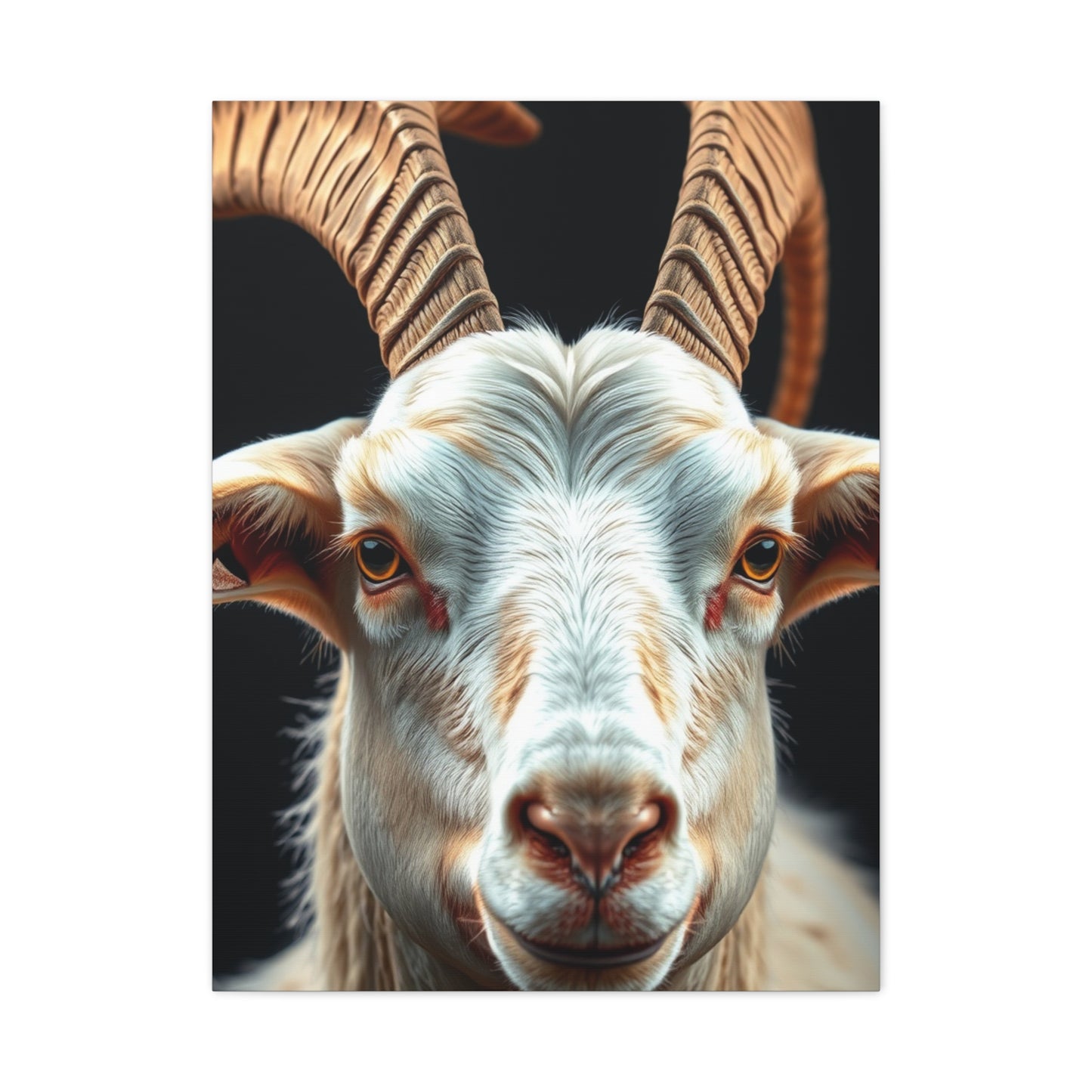 Sublime Goat Tableau Wall Art & Canvas Print