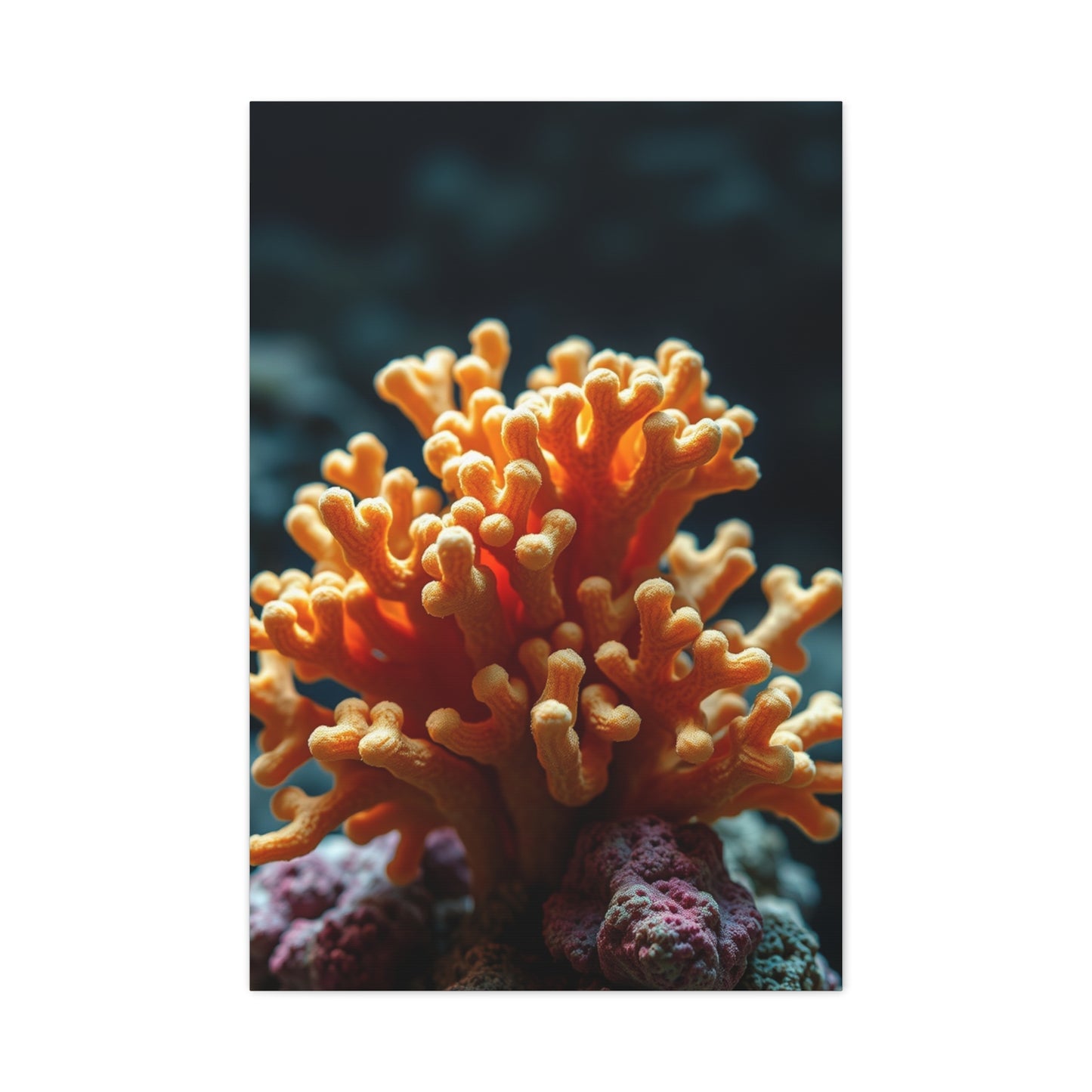 Supreme Coral Art Collection Wall Art & Canvas Print