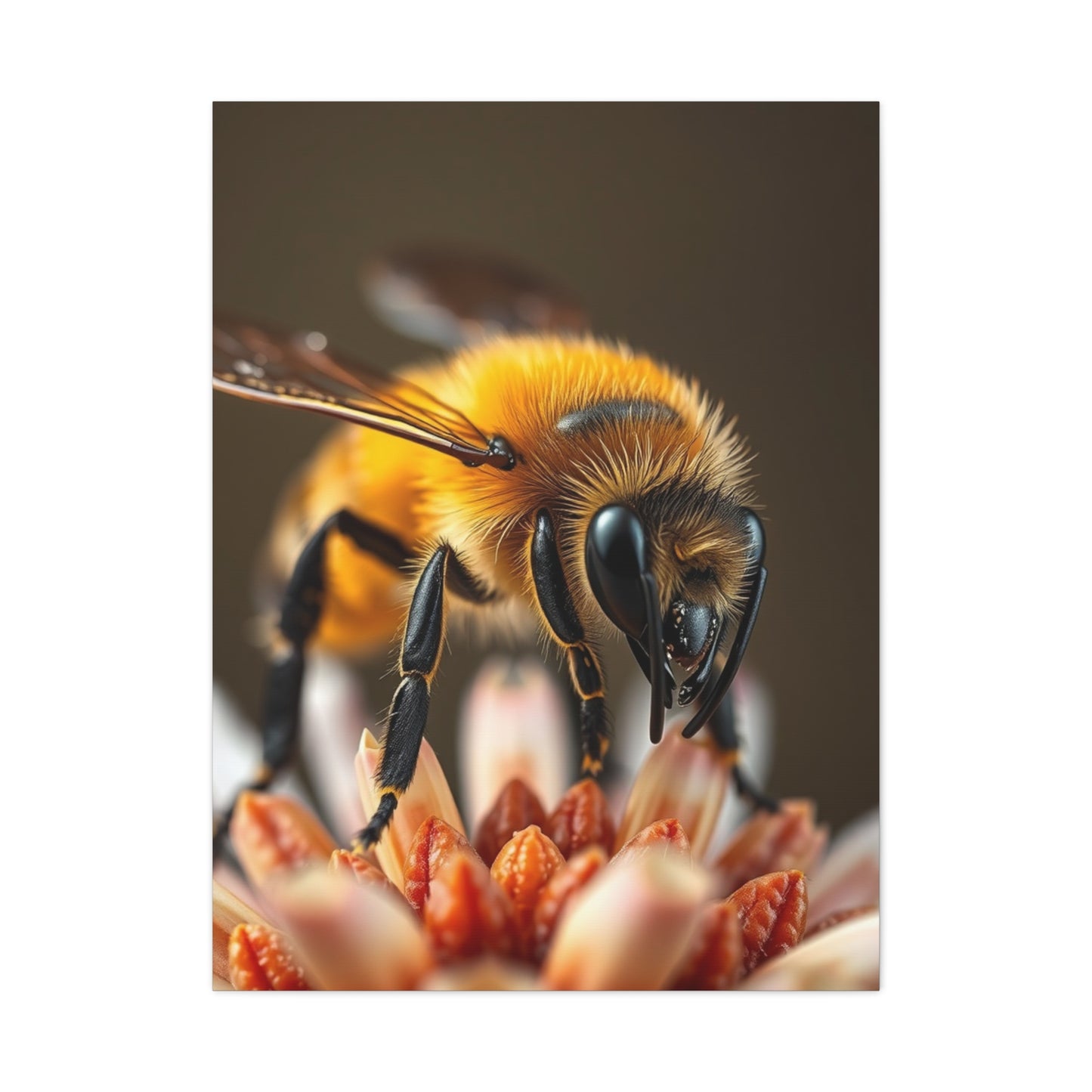 Supreme Bees Art Collection Wall Art & Canvas Print