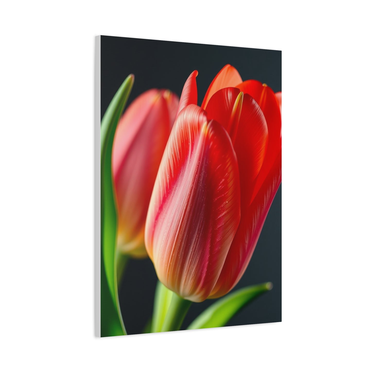 Tulip Flower Art Refined Canvas Wall Art & Canvas Print